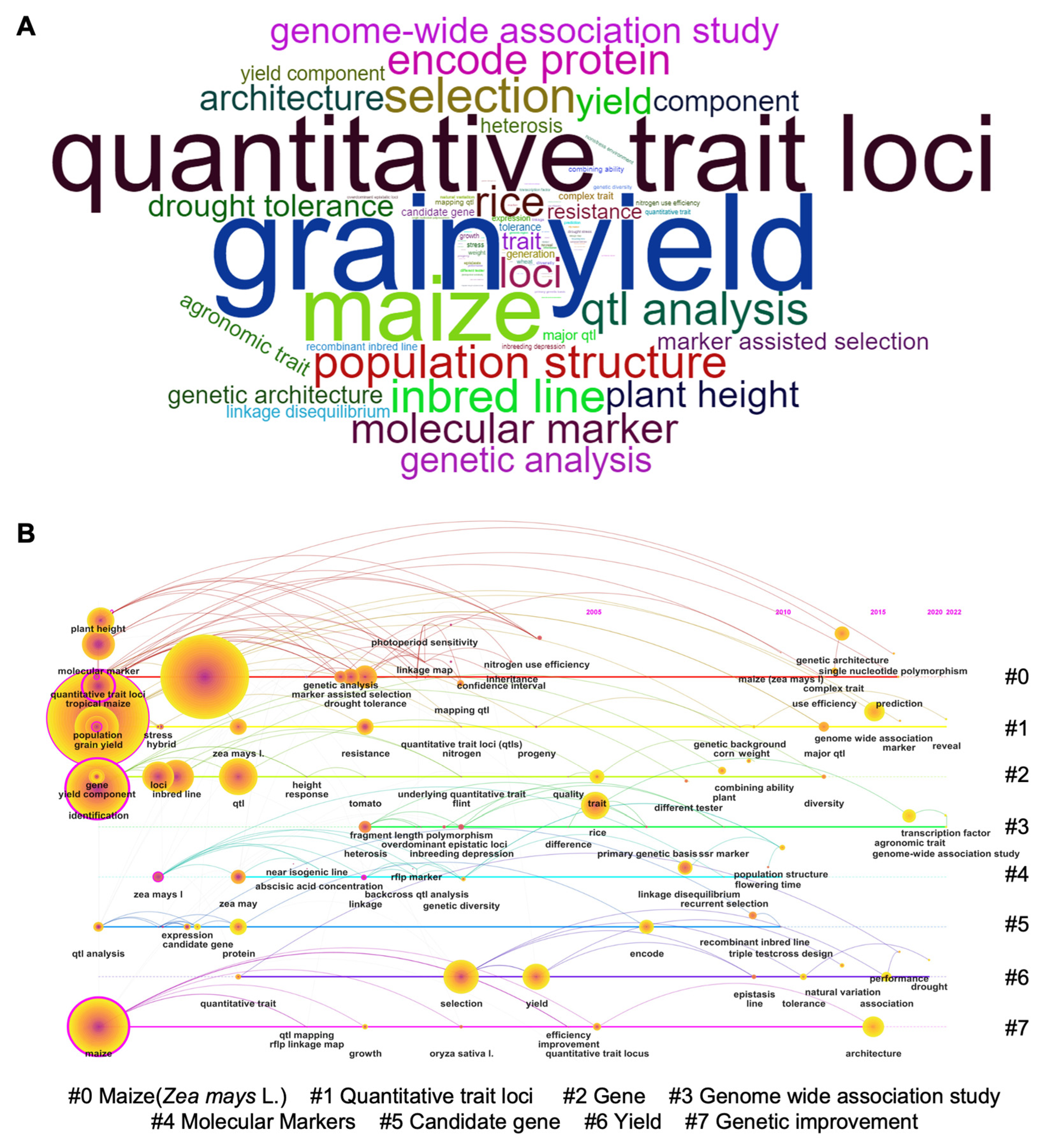 Ijms 24 01025 g003 Ijms 24 01025 g003