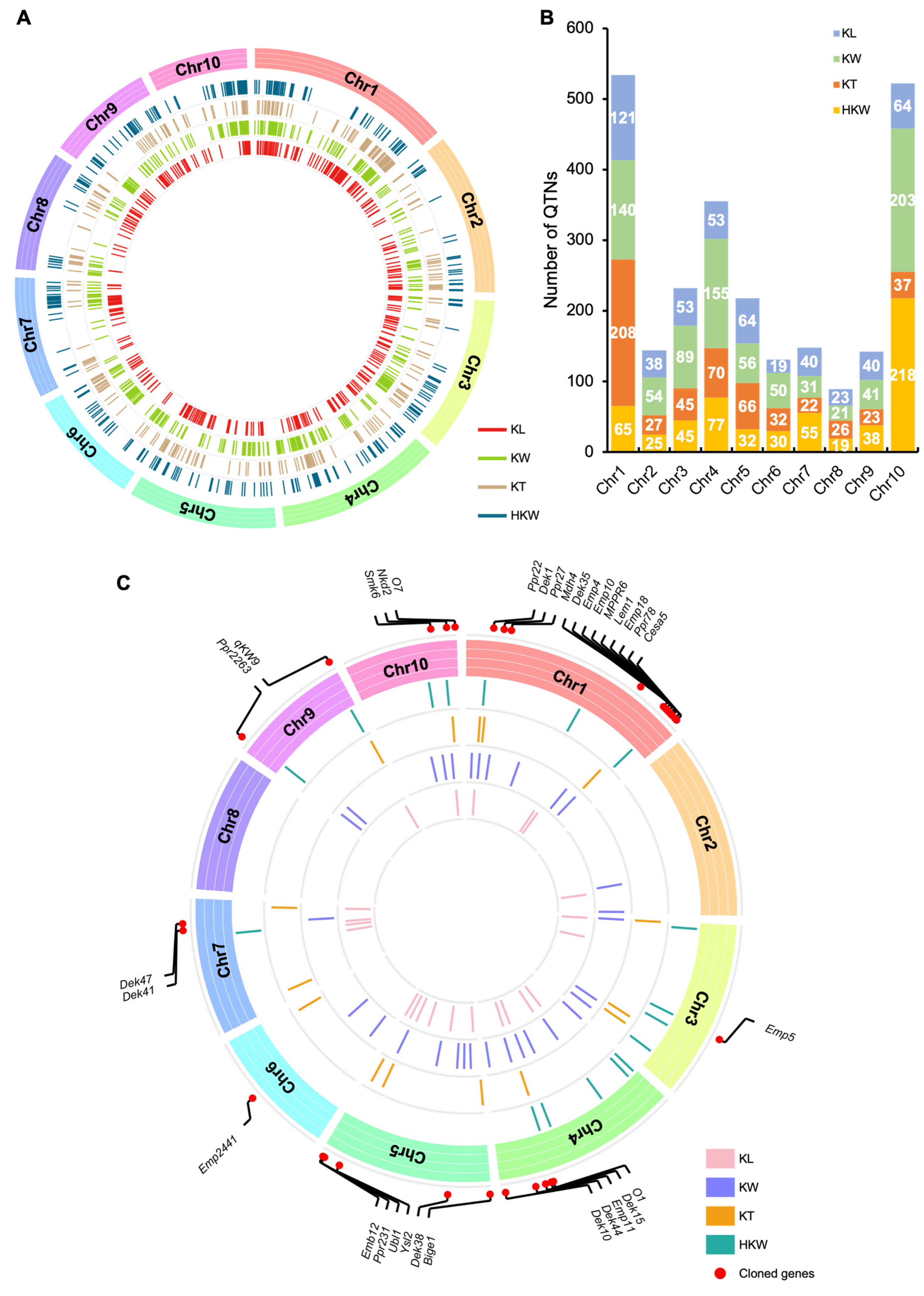 Ijms 24 01025 g006 Ijms 24 01025 g006