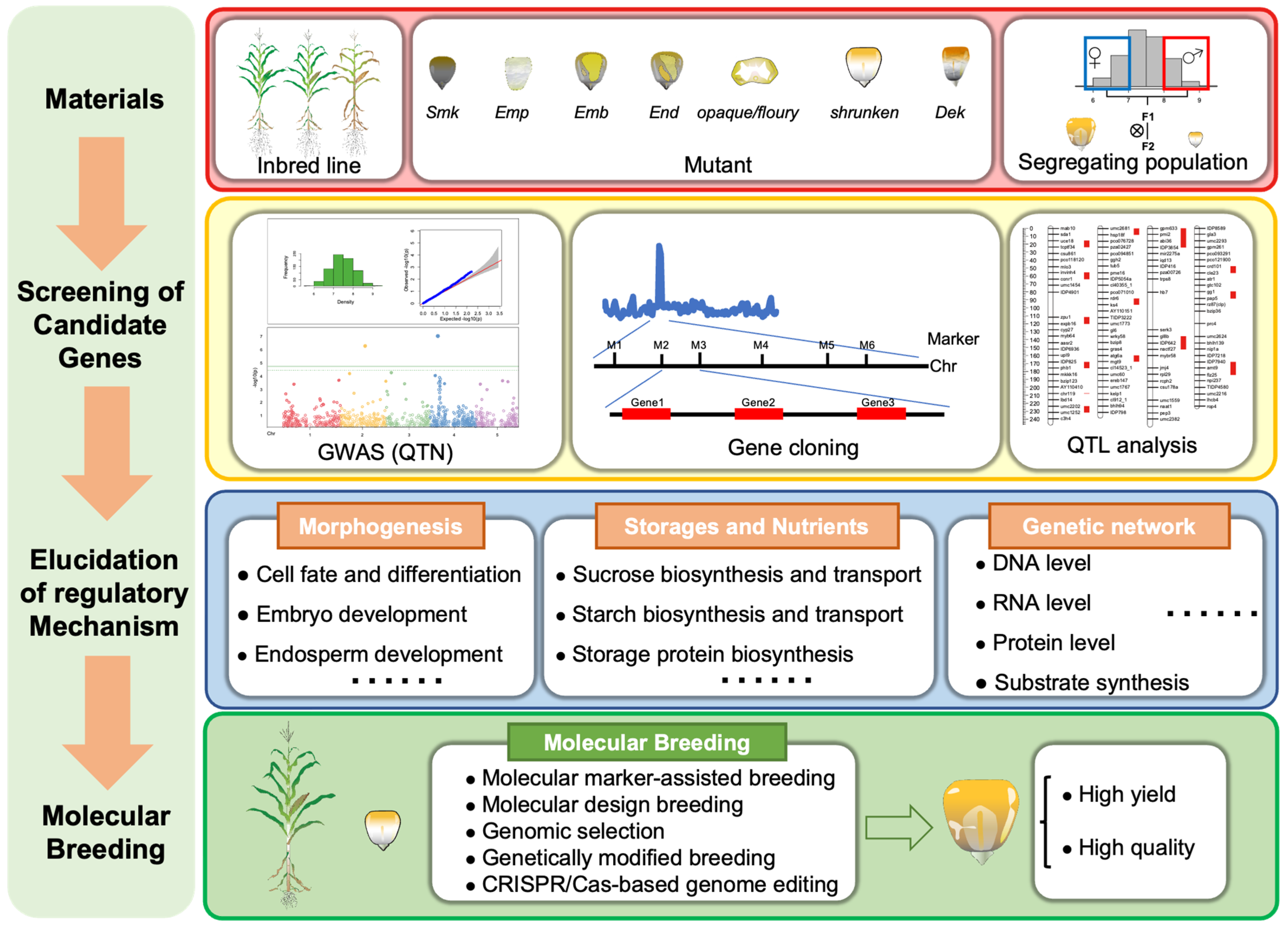 Ijms 24 01025 g007 Ijms 24 01025 g007