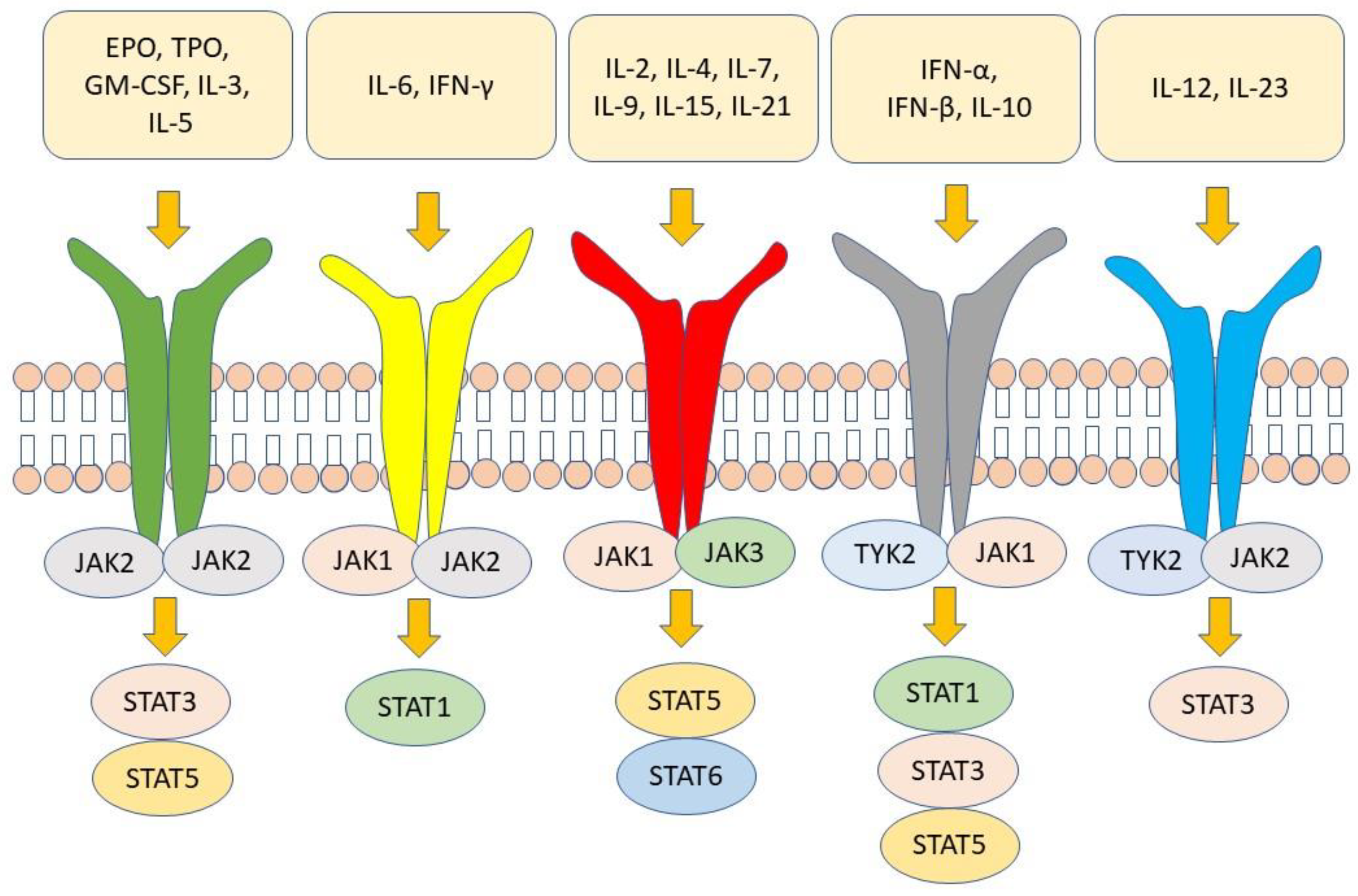 Disease Control Data, nr-axSpA