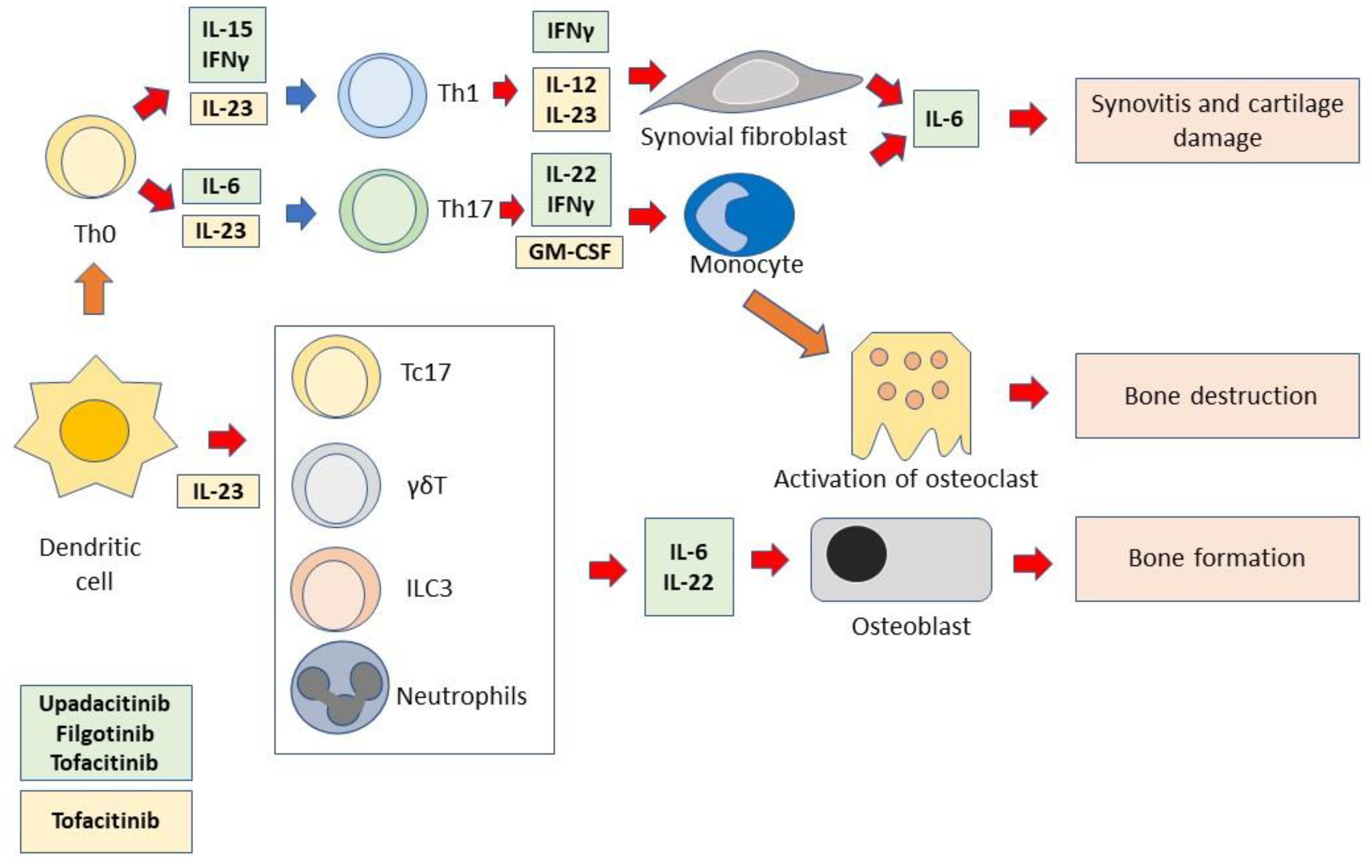 Ijms 24 01027 g002 Ijms 24 01027 g002