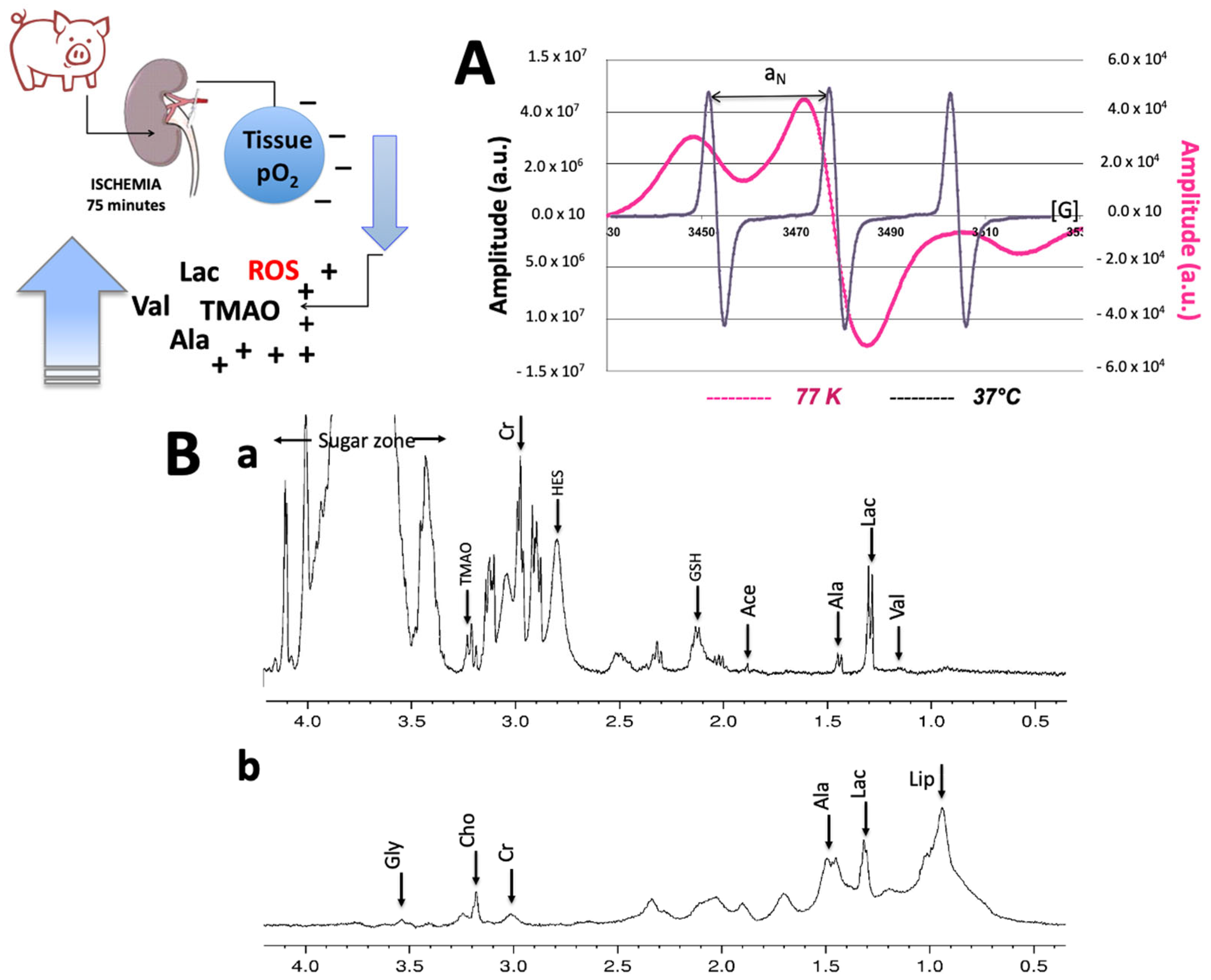 Ijms 24 01029 g009 Ijms 24 01029 g009
