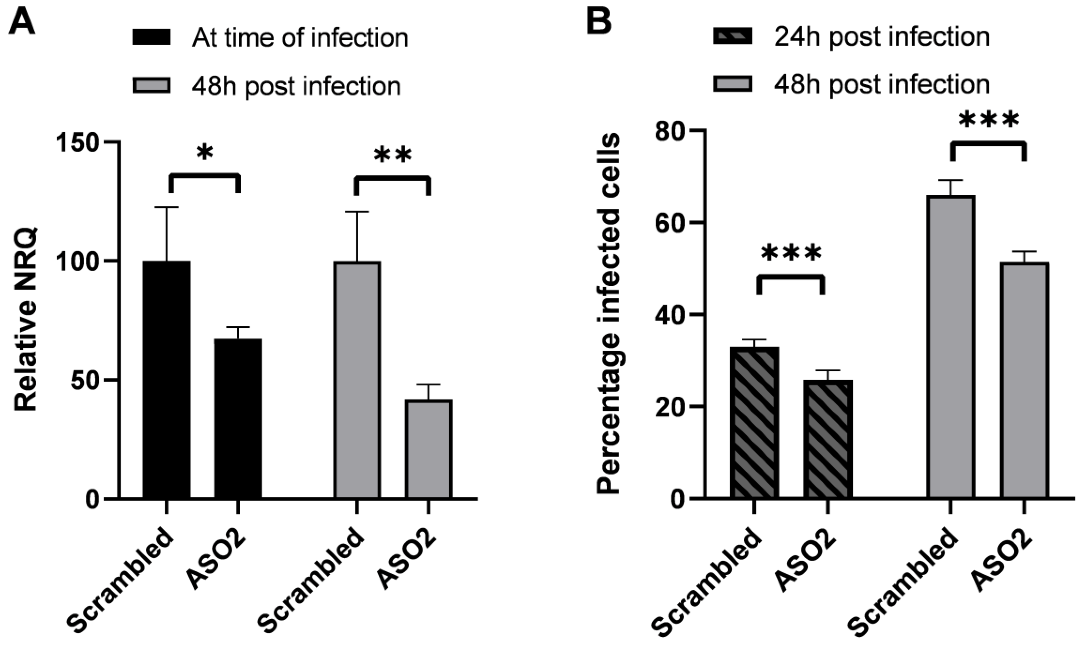 Ijms 24 01031 g005 Ijms 24 01031 g005