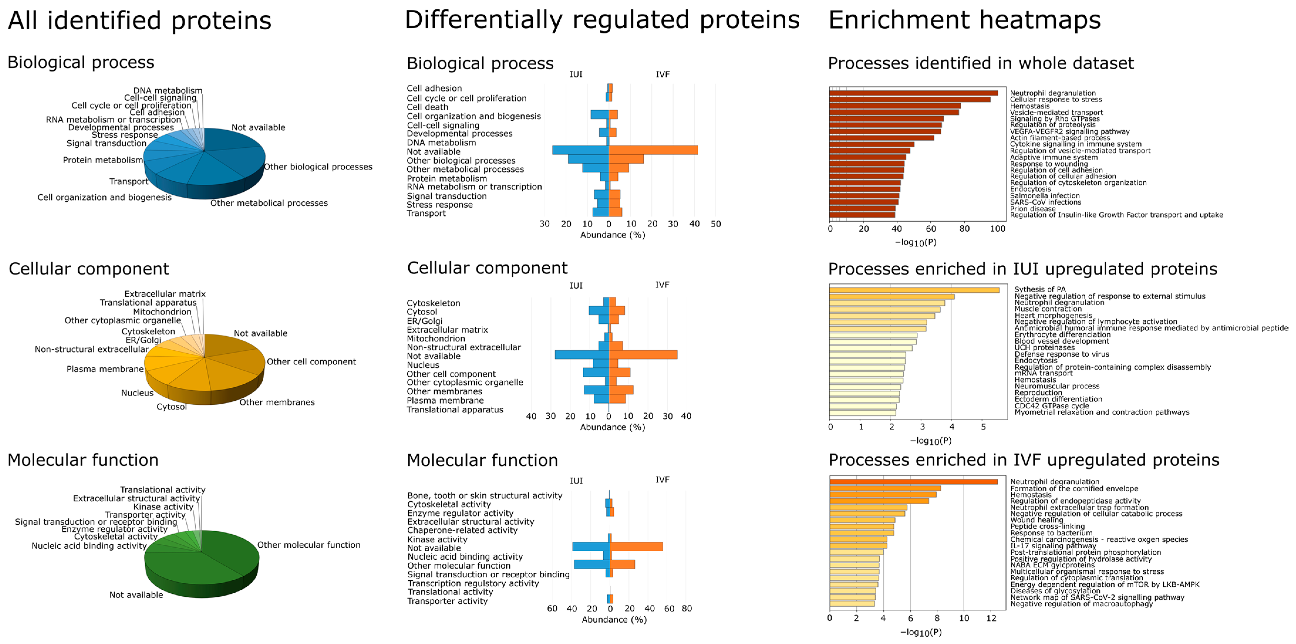 Ijms 24 01038 g002 Ijms 24 01038 g002