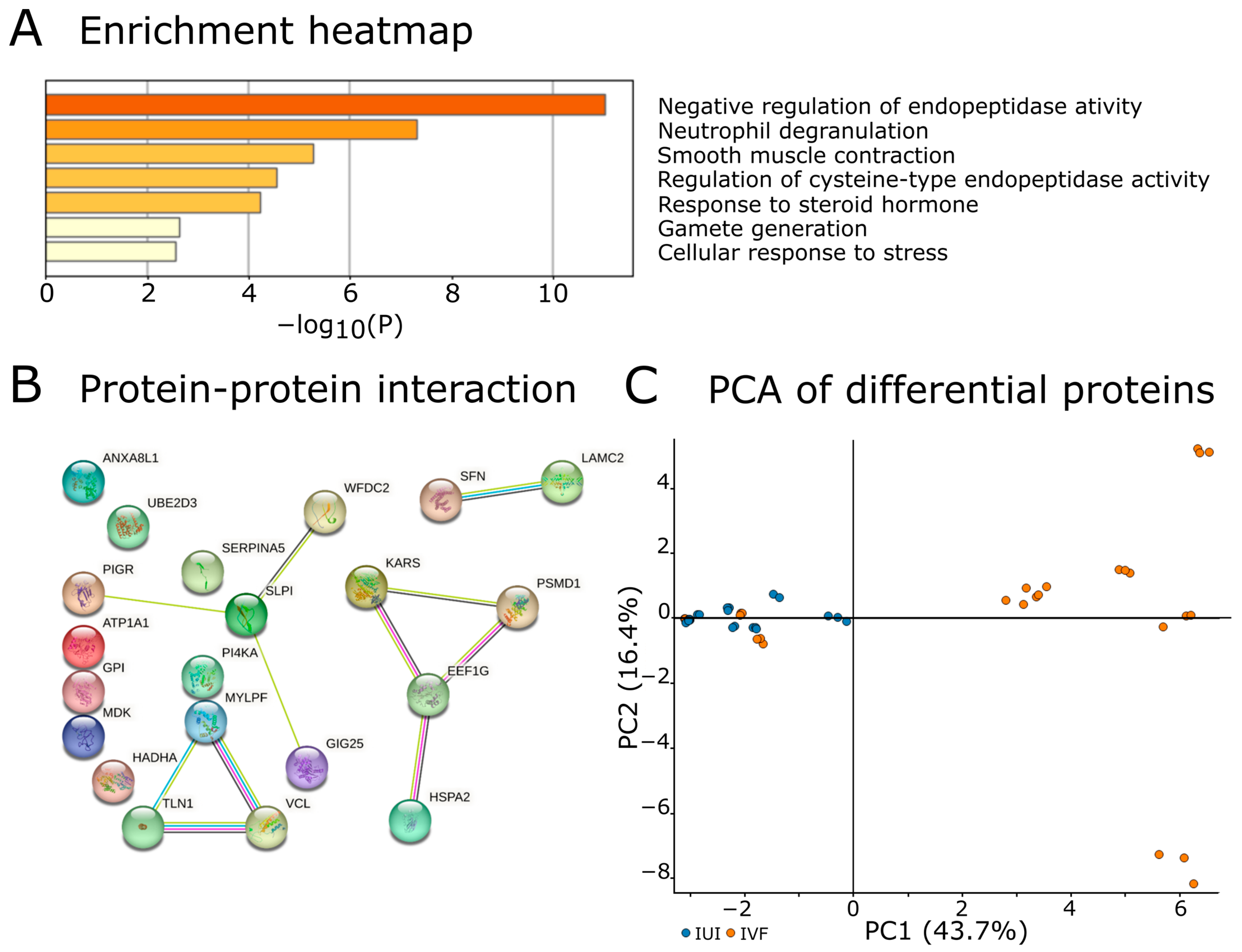 Ijms 24 01038 g003 Ijms 24 01038 g003