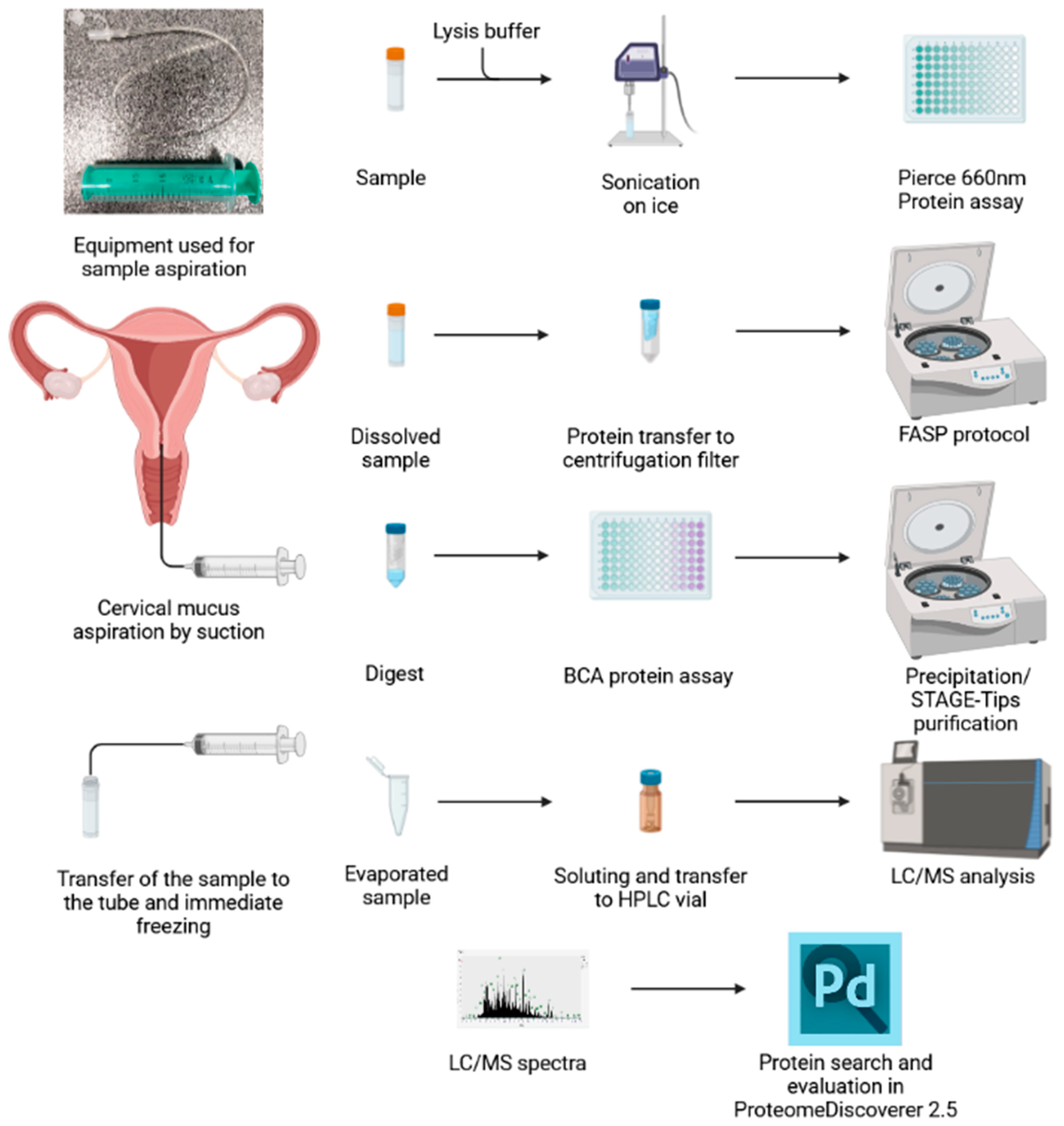 Ijms 24 01038 g004 Ijms 24 01038 g004