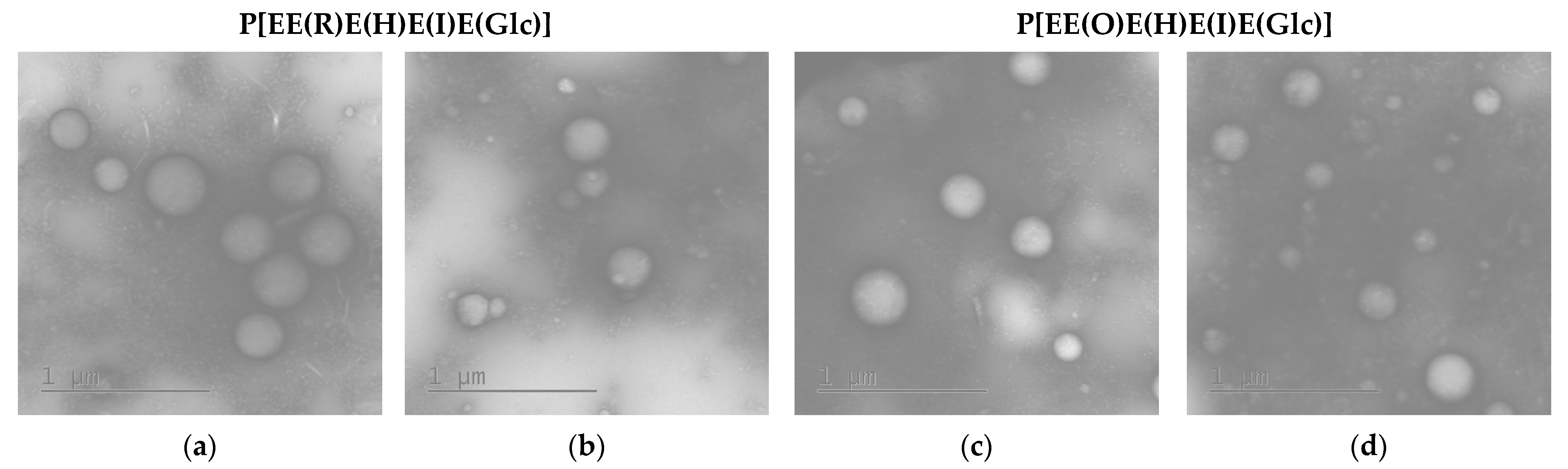 Ijms 24 01049 g005 Ijms 24 01049 g005