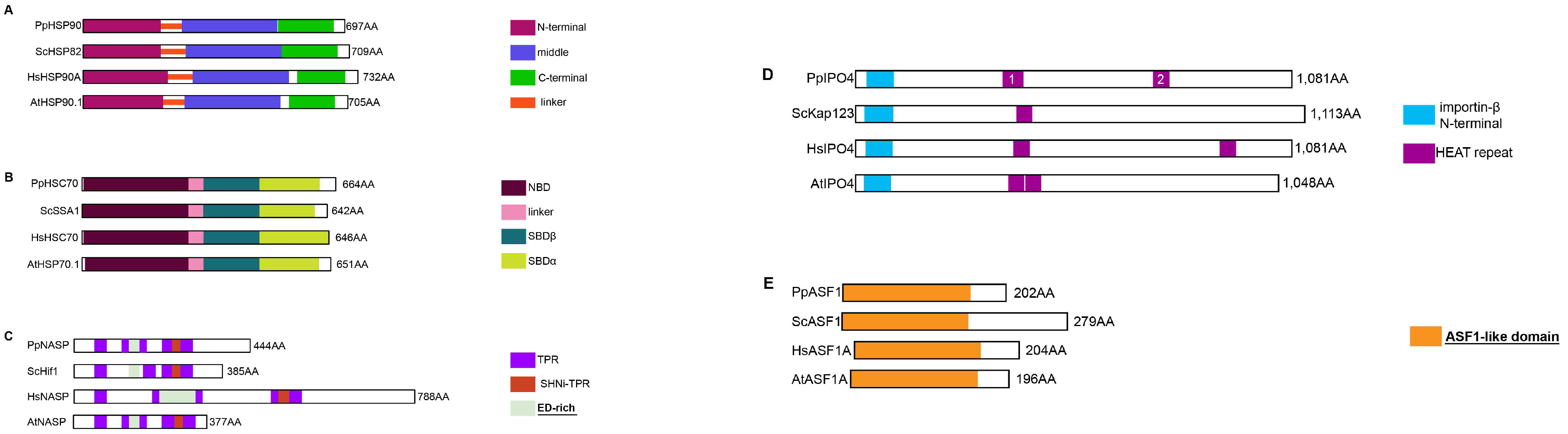 Ijms 24 01051 g003 Ijms 24 01051 g003