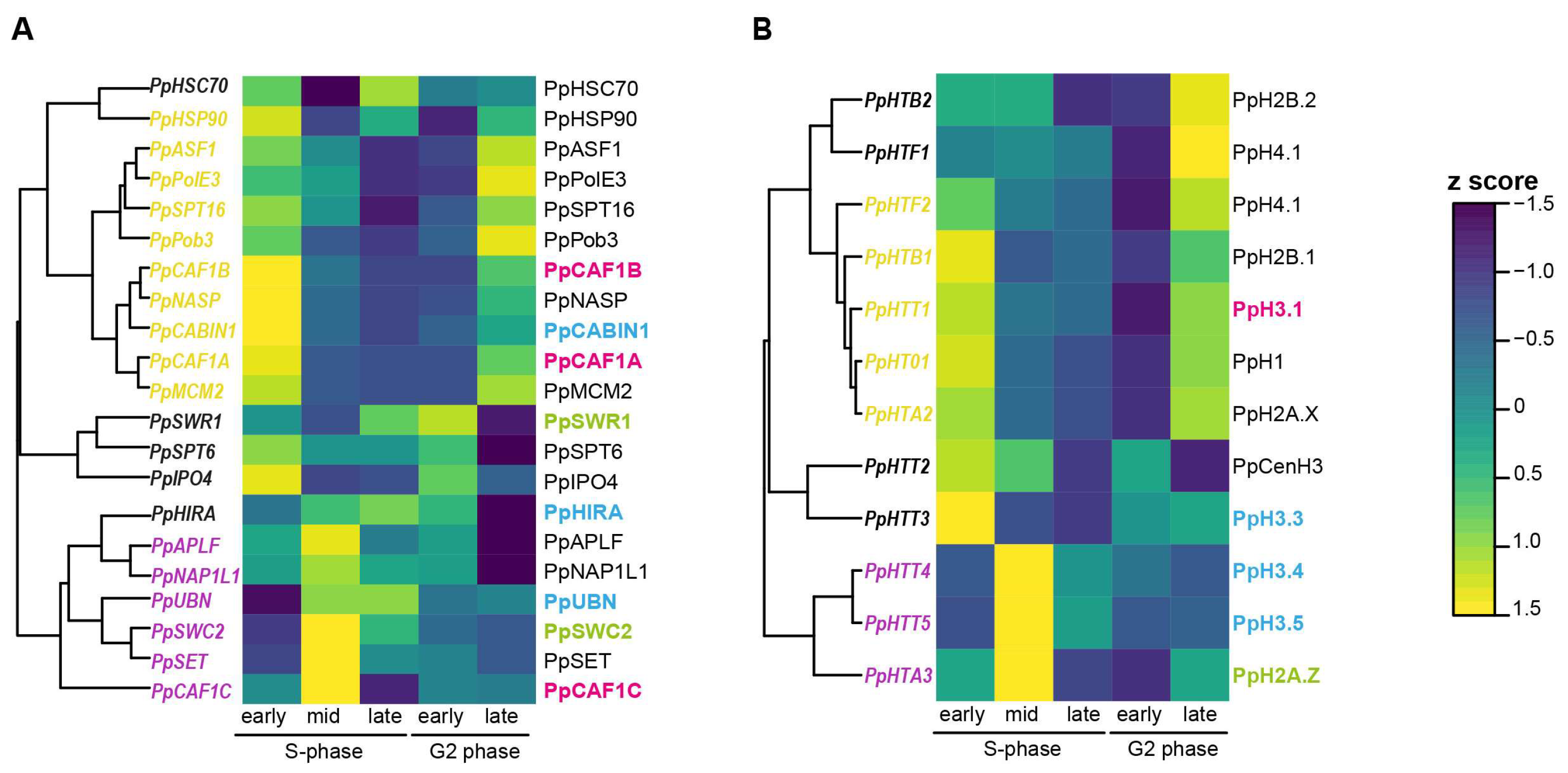 Ijms 24 01051 g007 Ijms 24 01051 g007