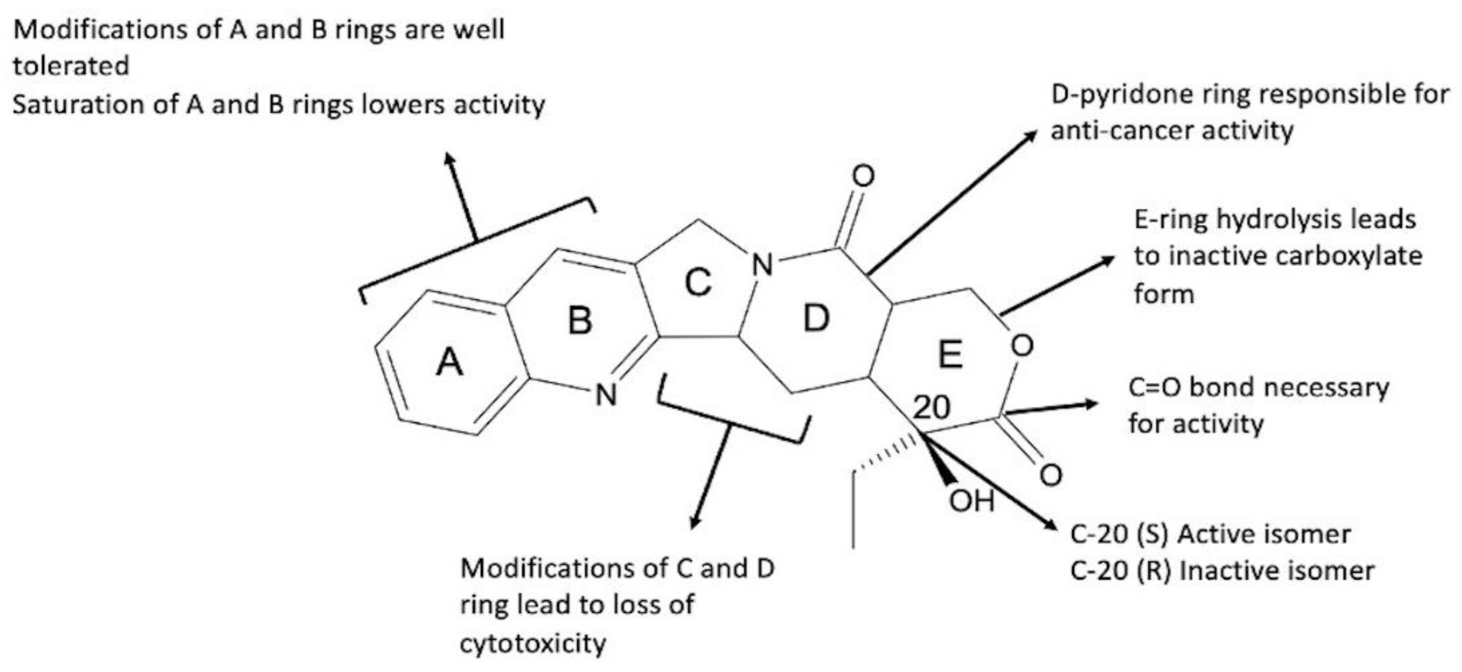 The Advancement of Biodegradable Polyesters as Delivery