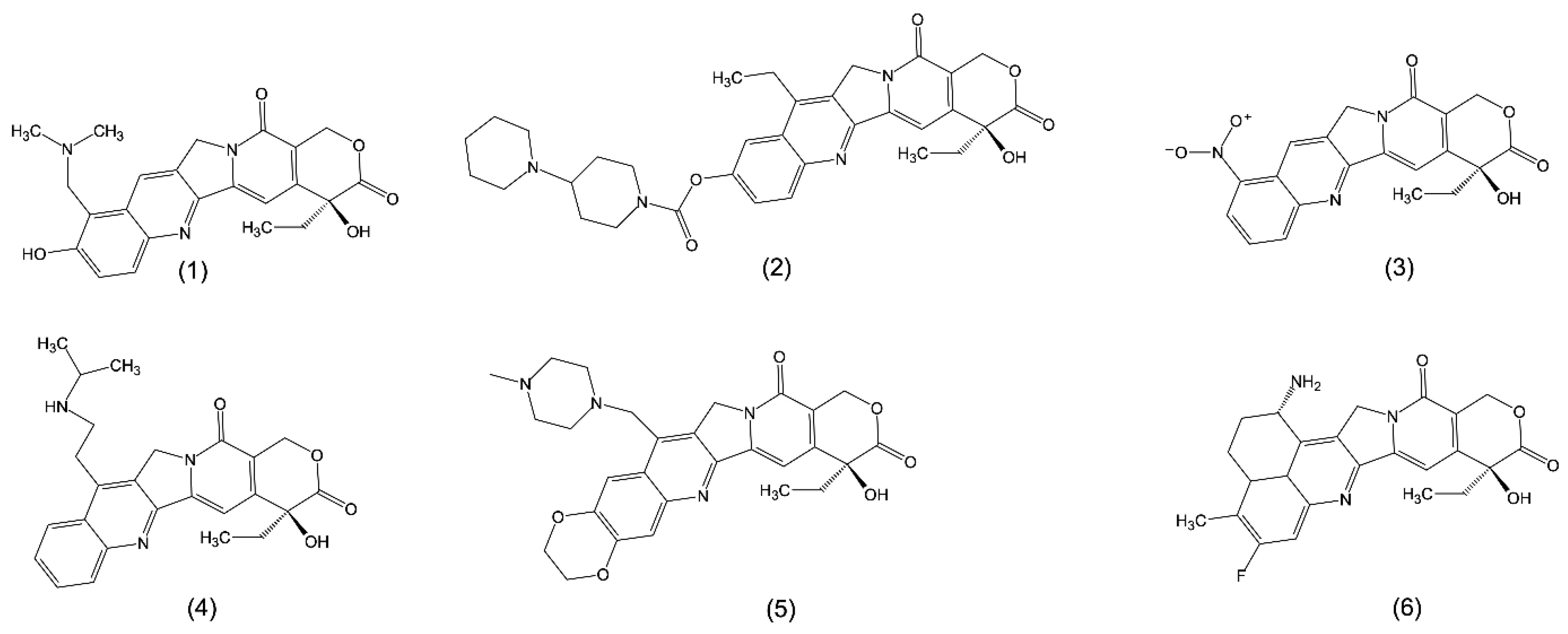 Ijms 24 01053 g003 Ijms 24 01053 g003