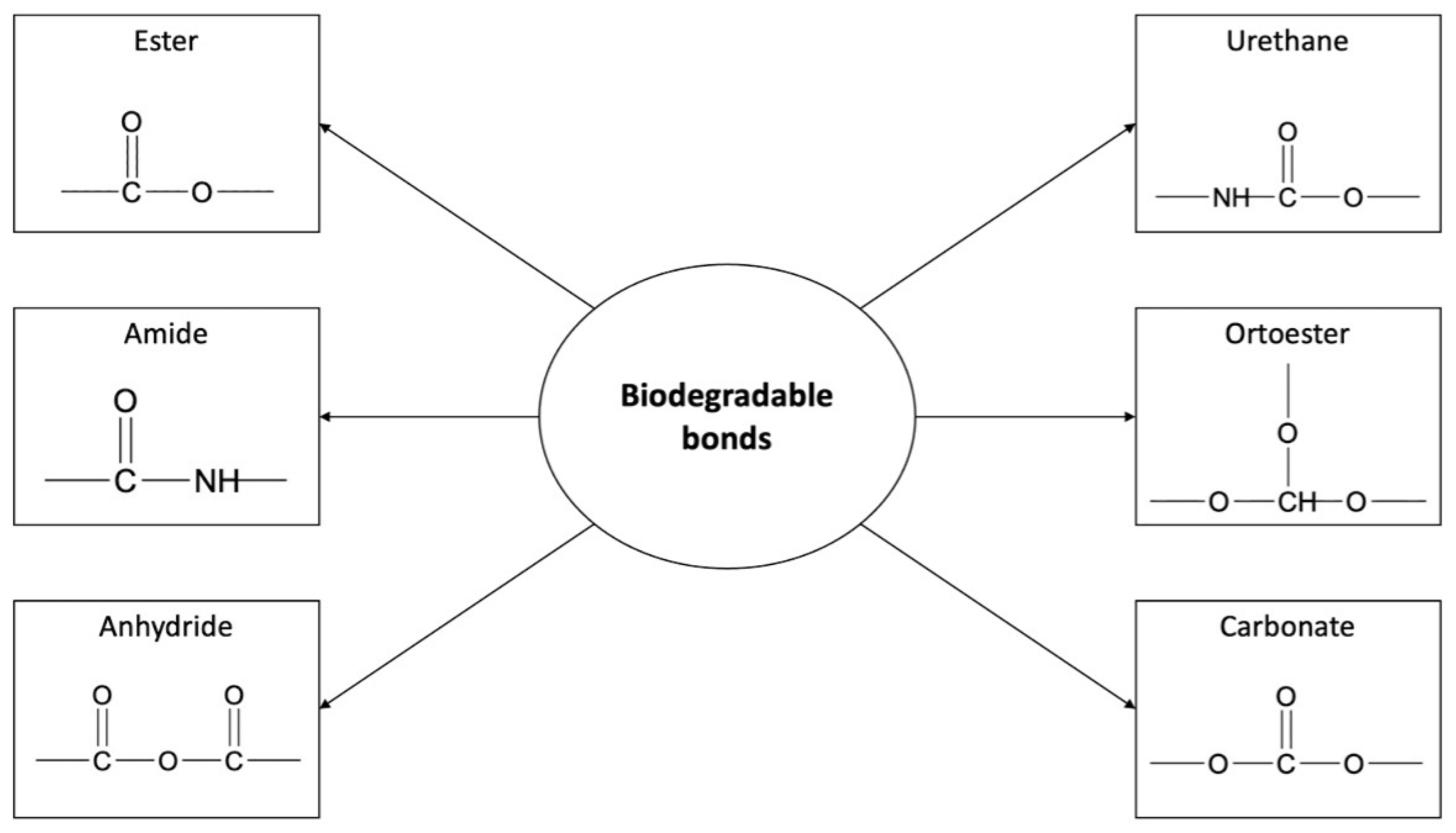 Ijms 24 01053 g004 Ijms 24 01053 g004