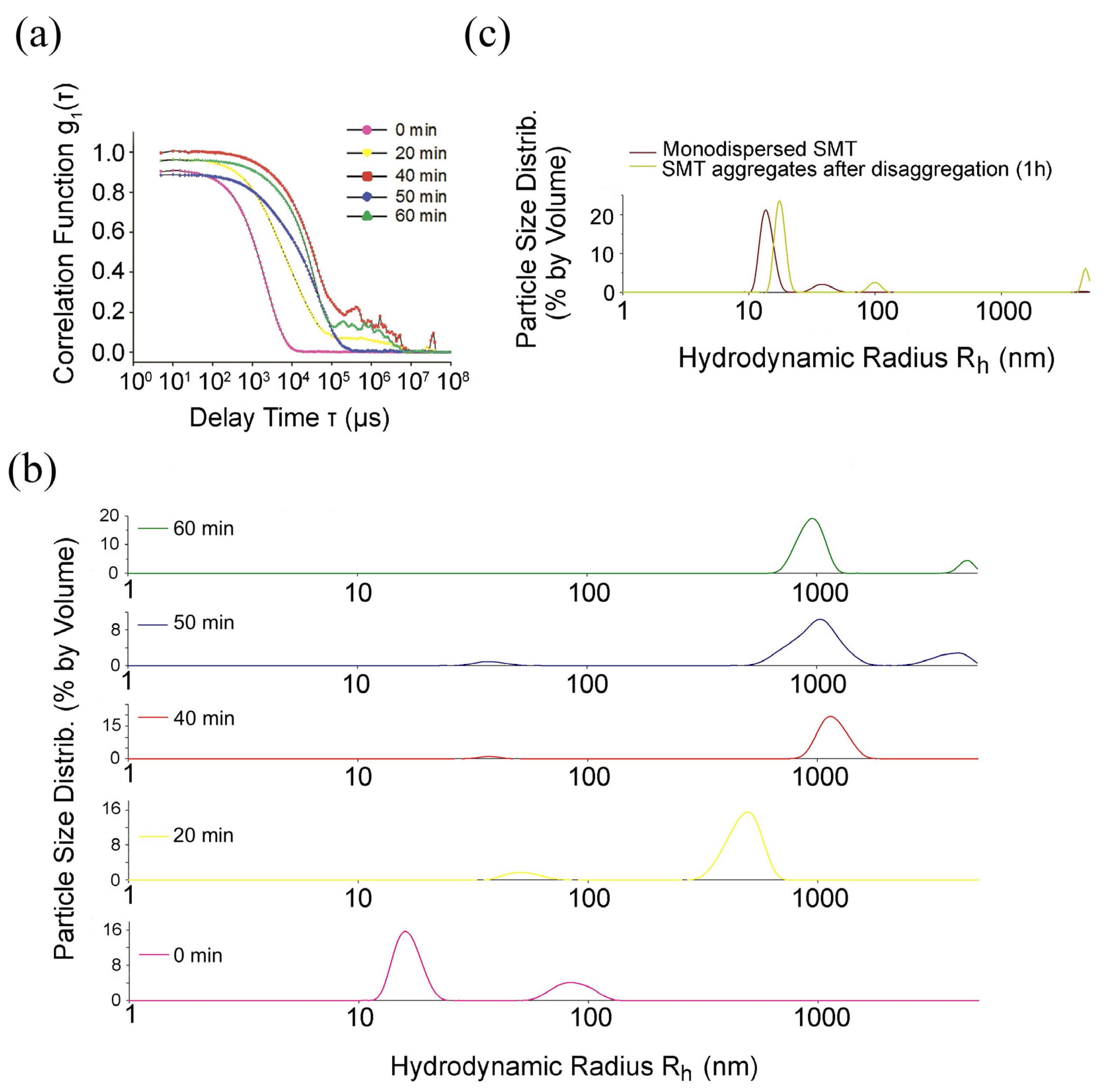 Ijms 24 01056 g001 Ijms 24 01056 g001