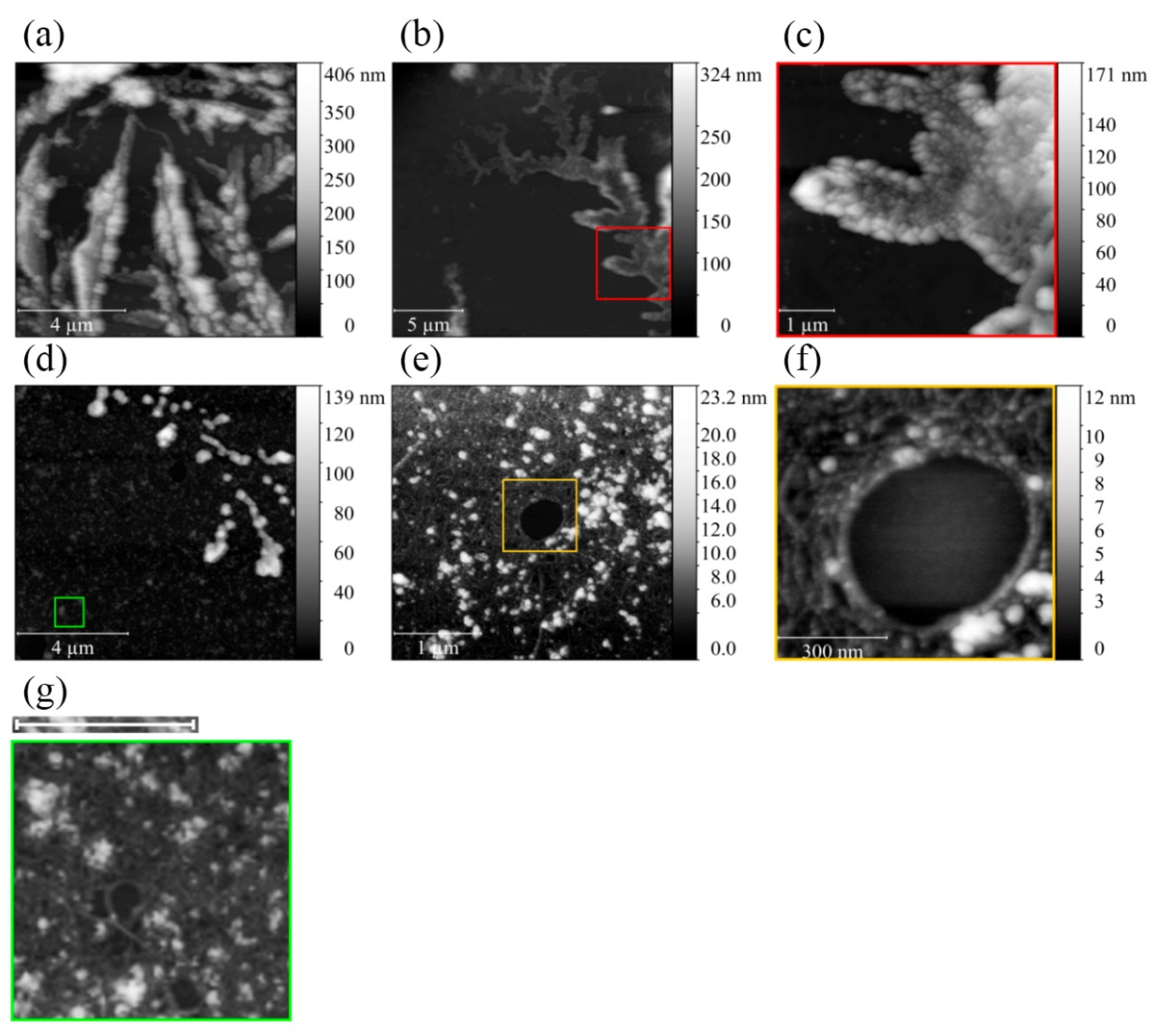 Ijms 24 01056 g004 Ijms 24 01056 g004