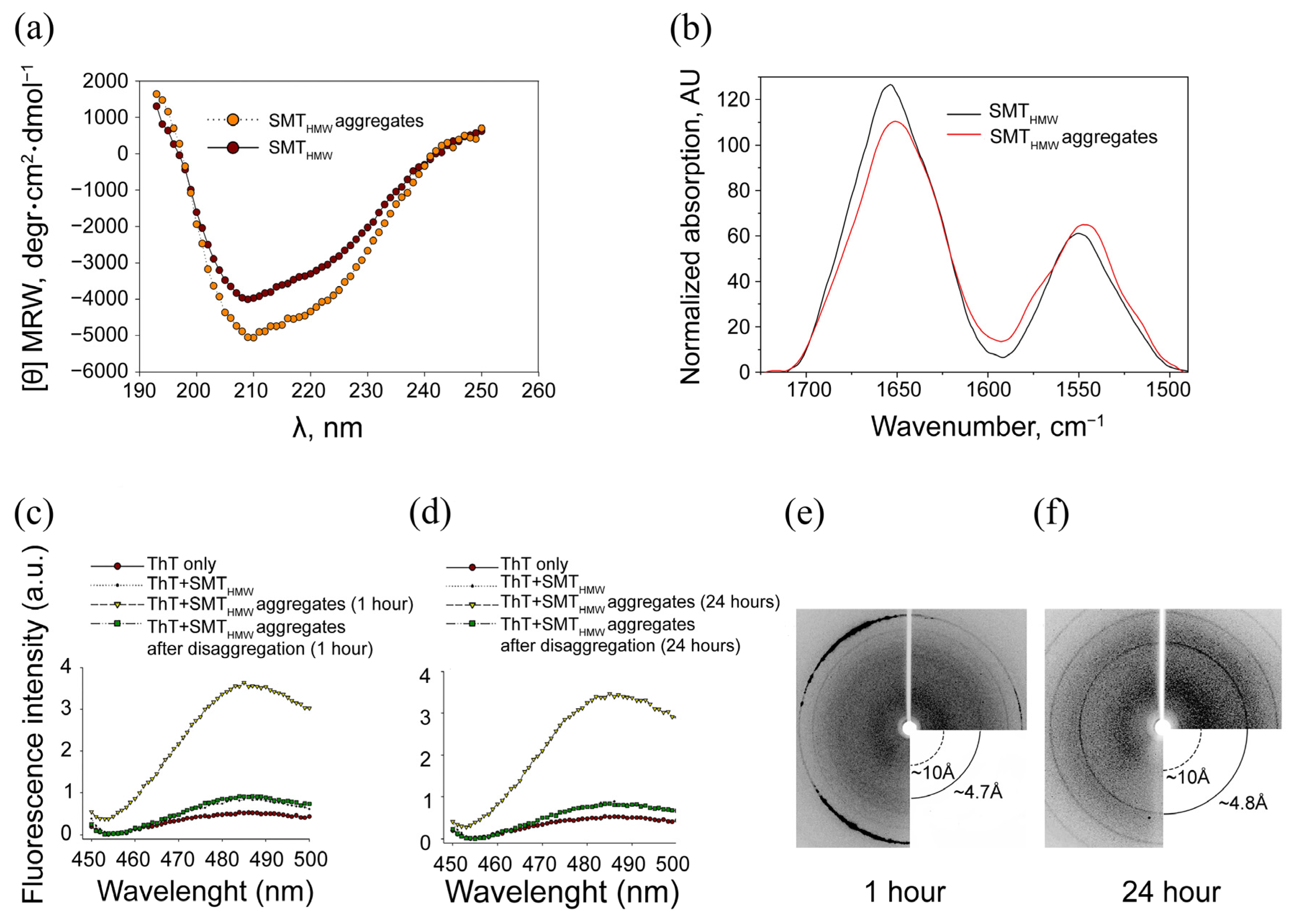 Ijms 24 01056 g005 Ijms 24 01056 g005