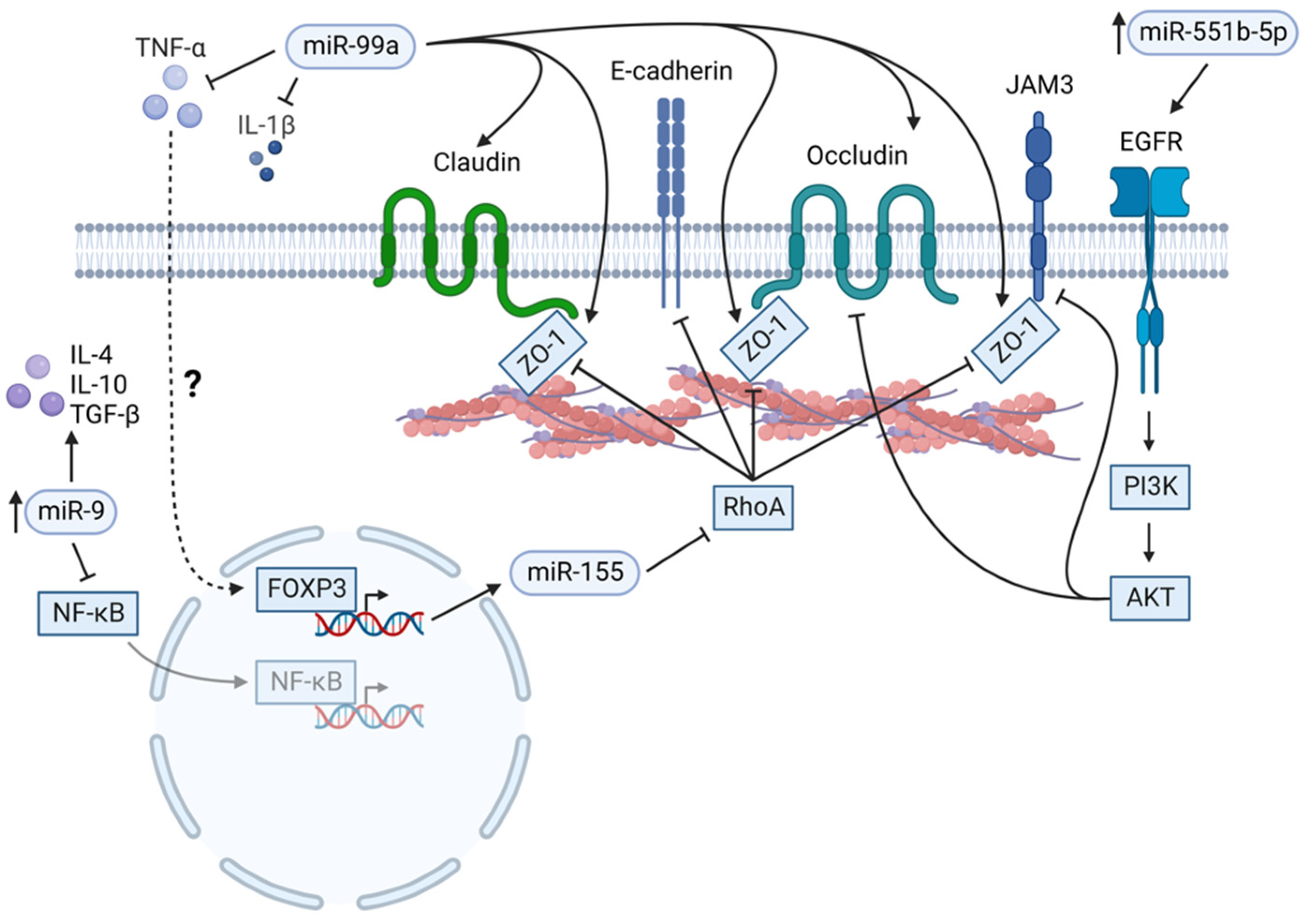 Ijms 24 01057 g003 Ijms 24 01057 g003