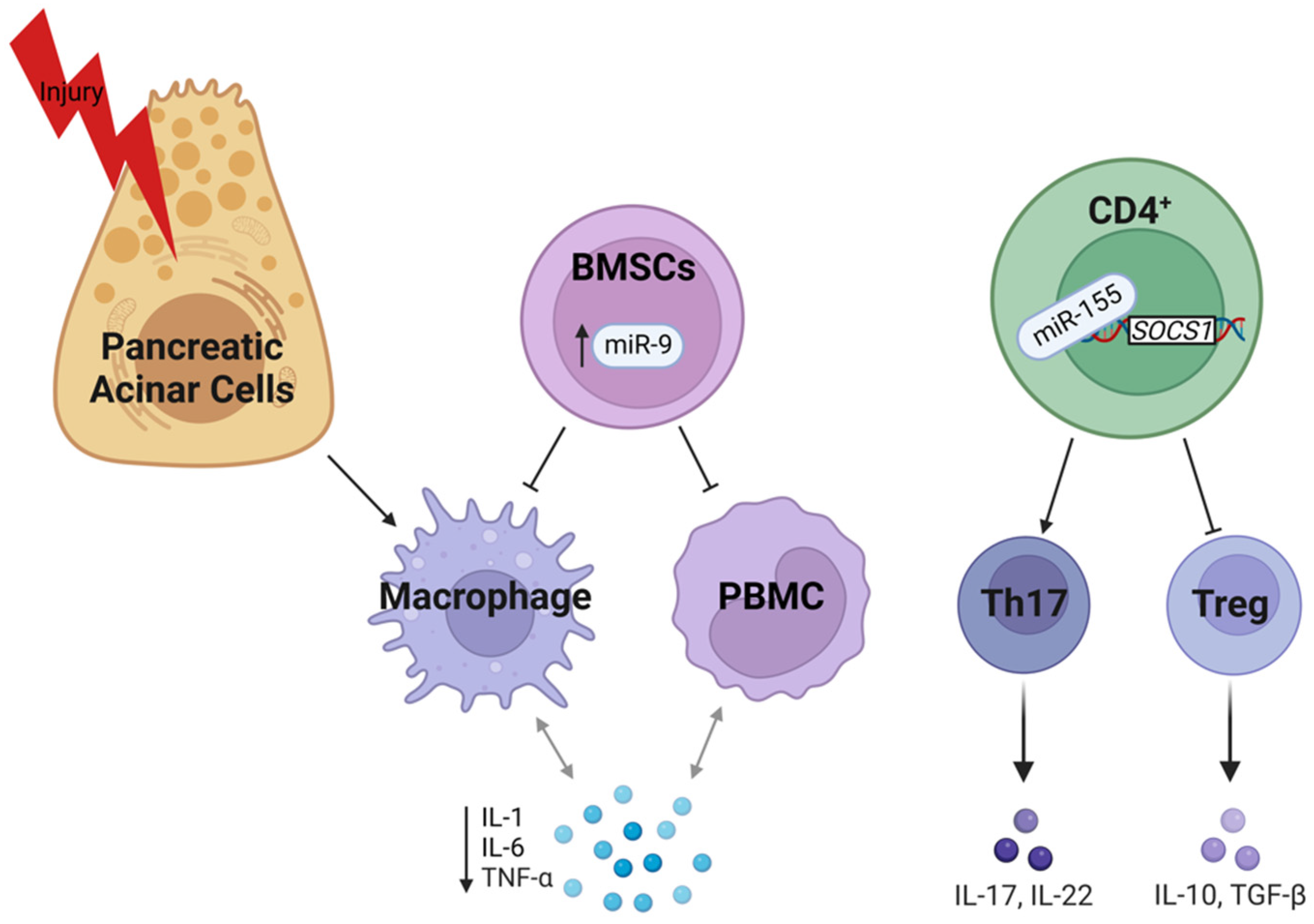 Ijms 24 01057 g004 Ijms 24 01057 g004
