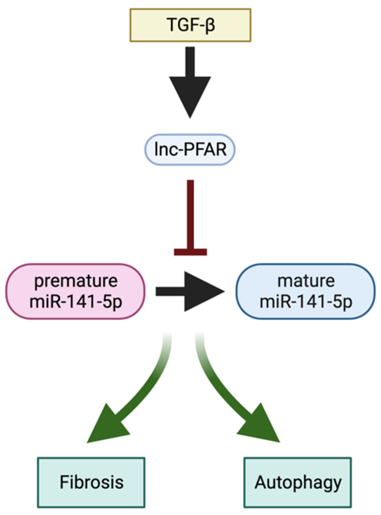 Ijms 24 01057 g006 Ijms 24 01057 g006