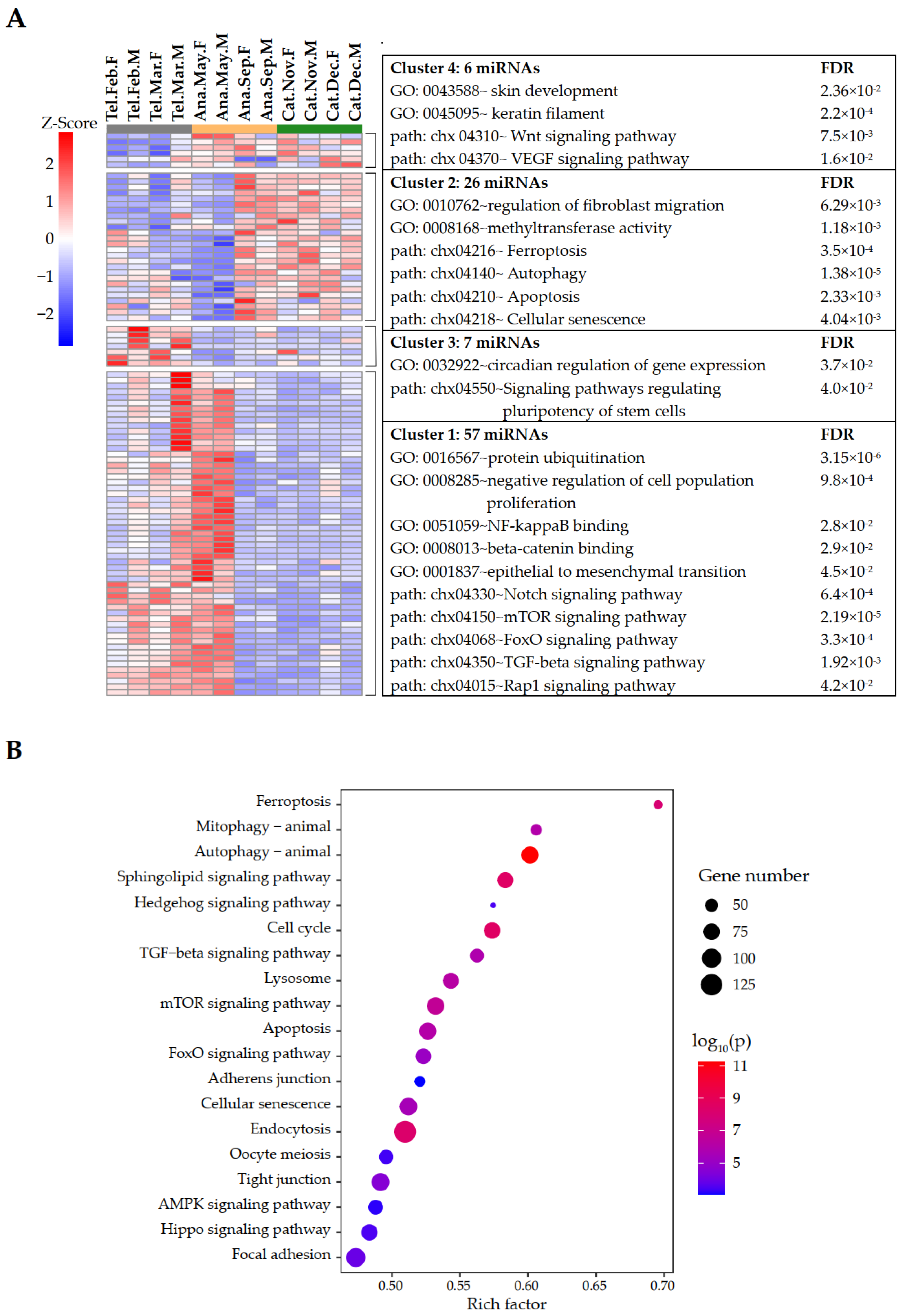 Ijms 24 01063 g002 Ijms 24 01063 g002