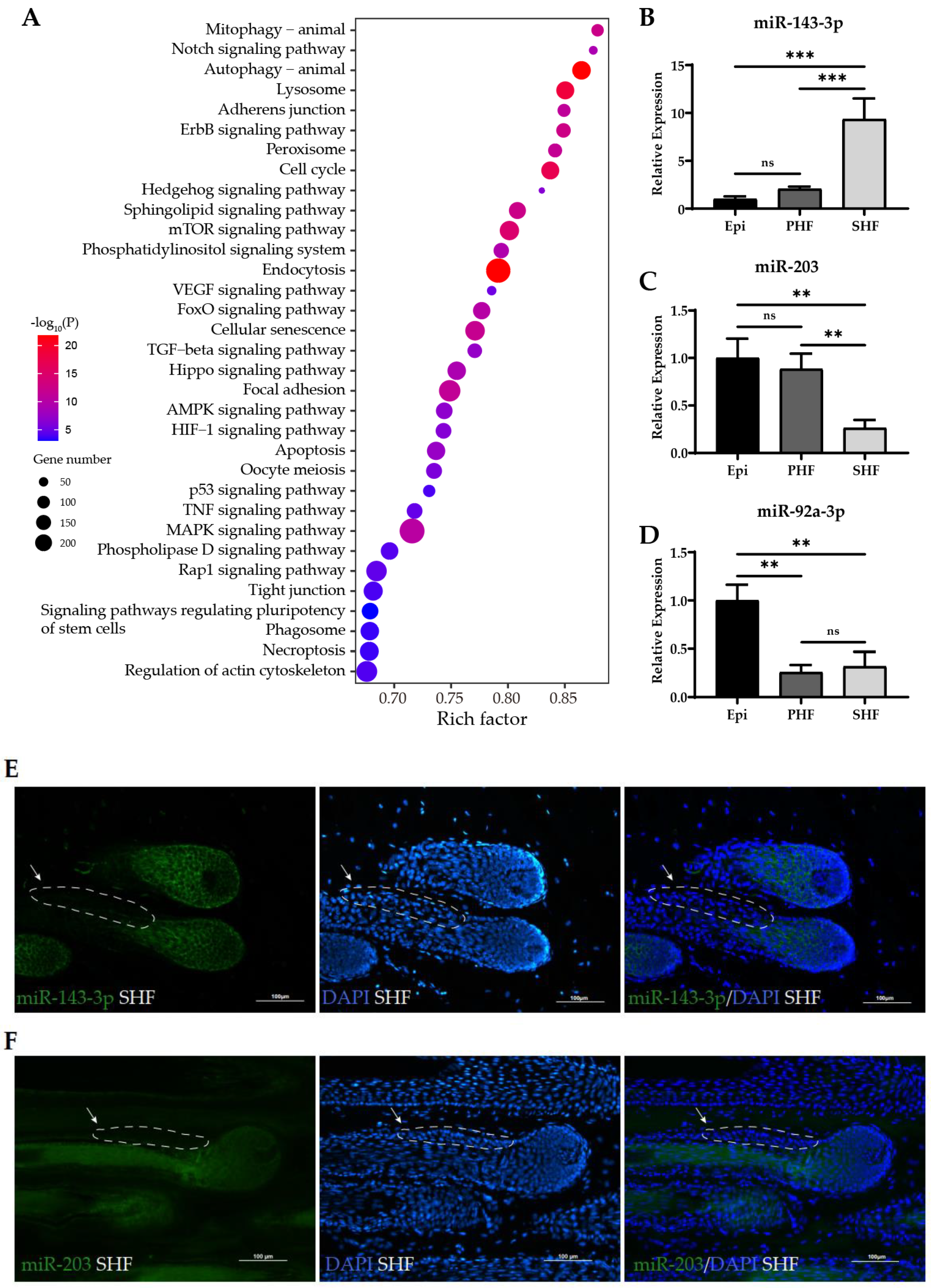 Ijms 24 01063 g003 Ijms 24 01063 g003