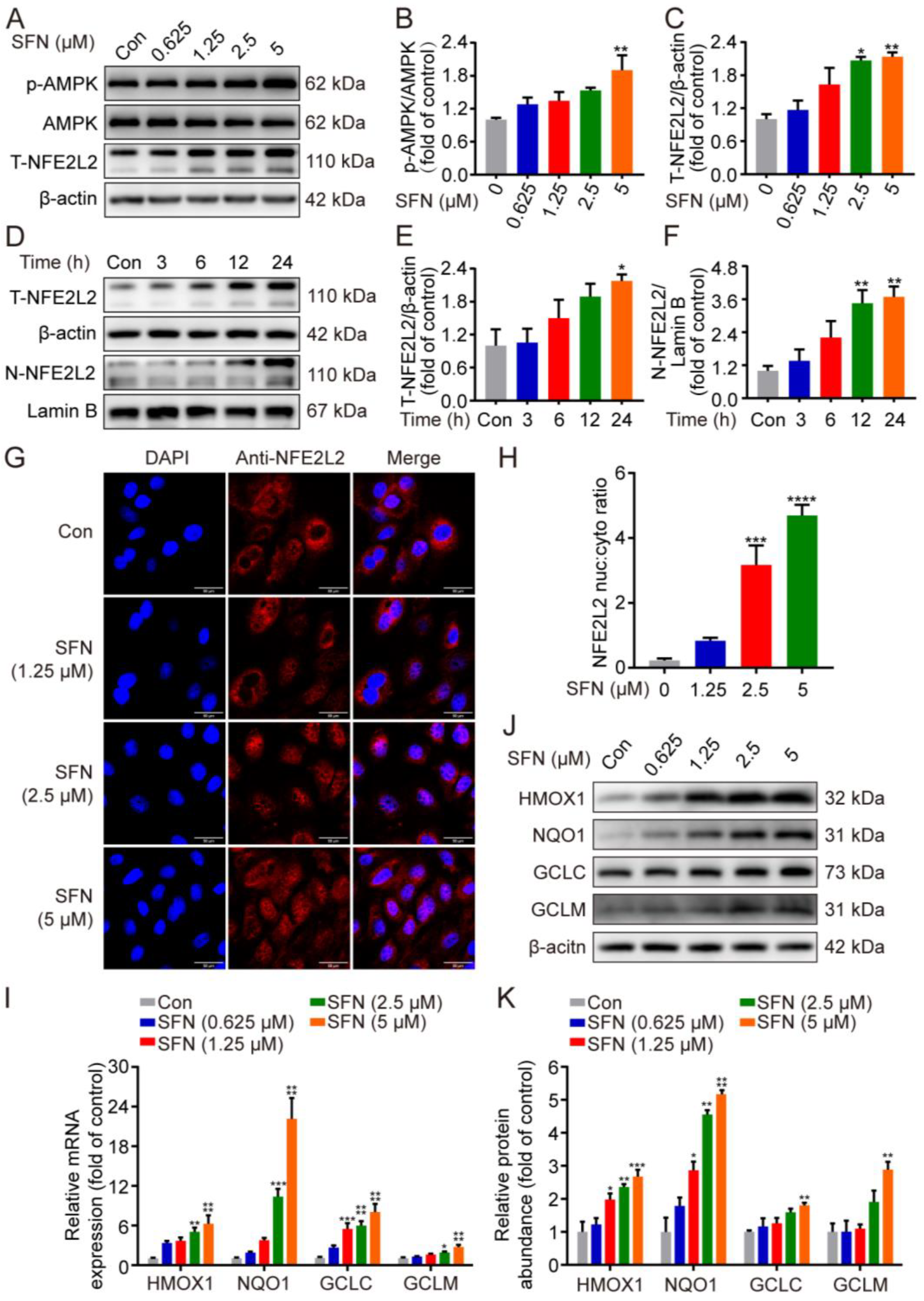 Ijms 24 01070 g003 Ijms 24 01070 g003
