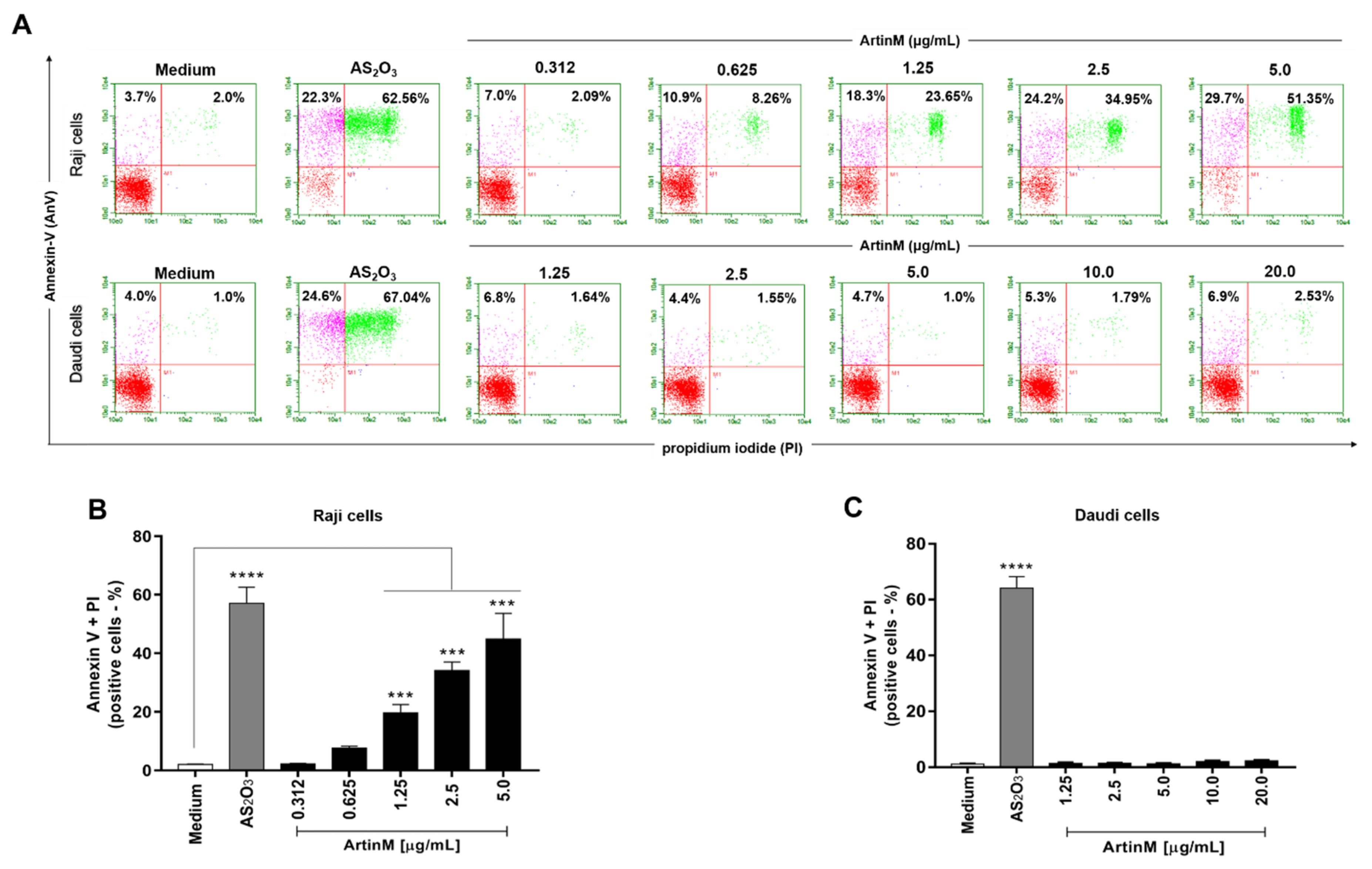 Ijms 24 01075 g004 Ijms 24 01075 g004