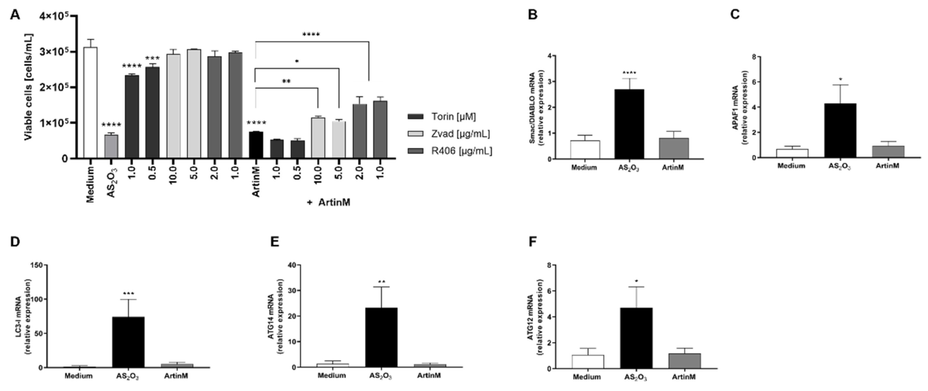 Ijms 24 01075 g005 Ijms 24 01075 g005