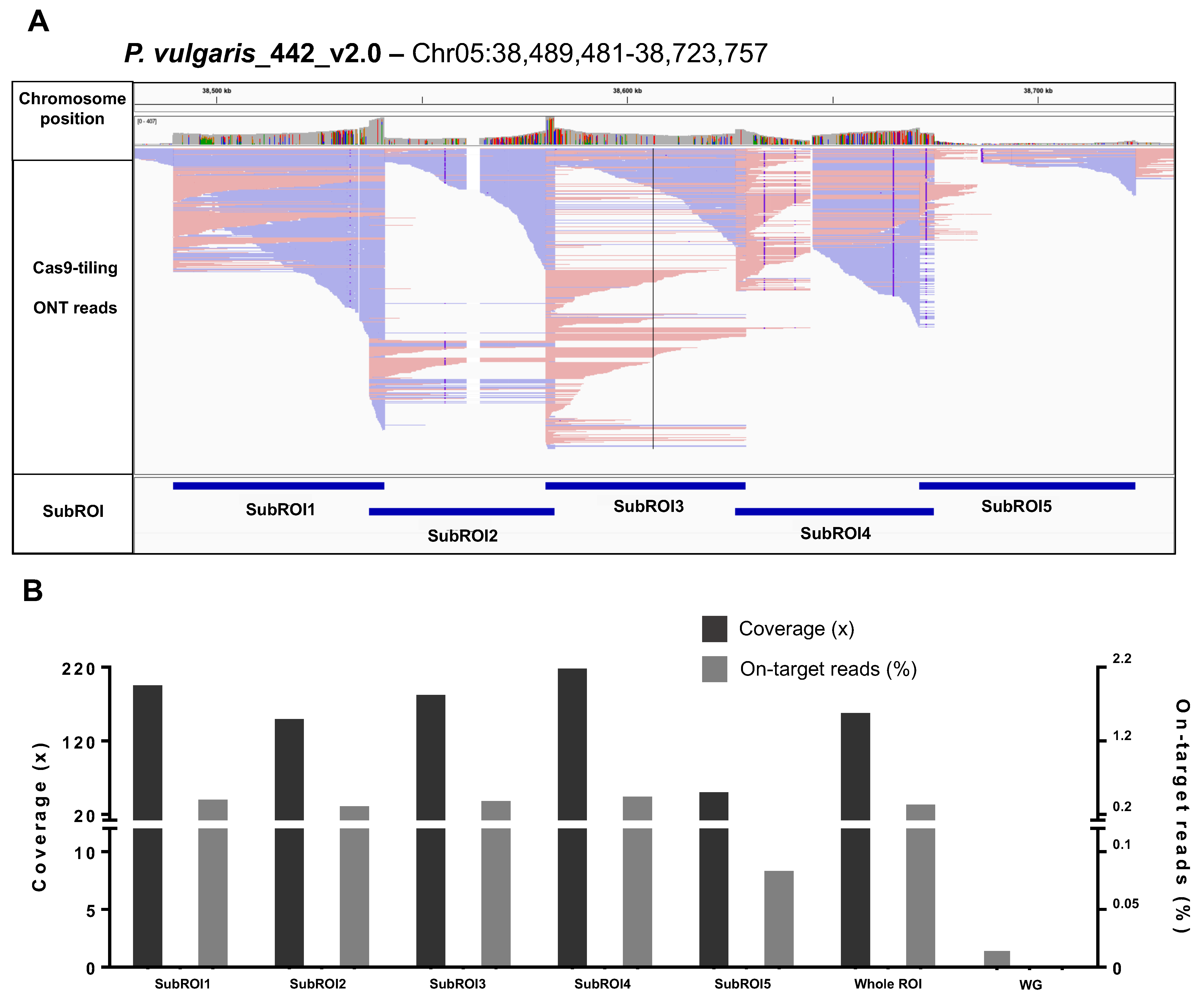Ijms 24 01076 g002 Ijms 24 01076 g002