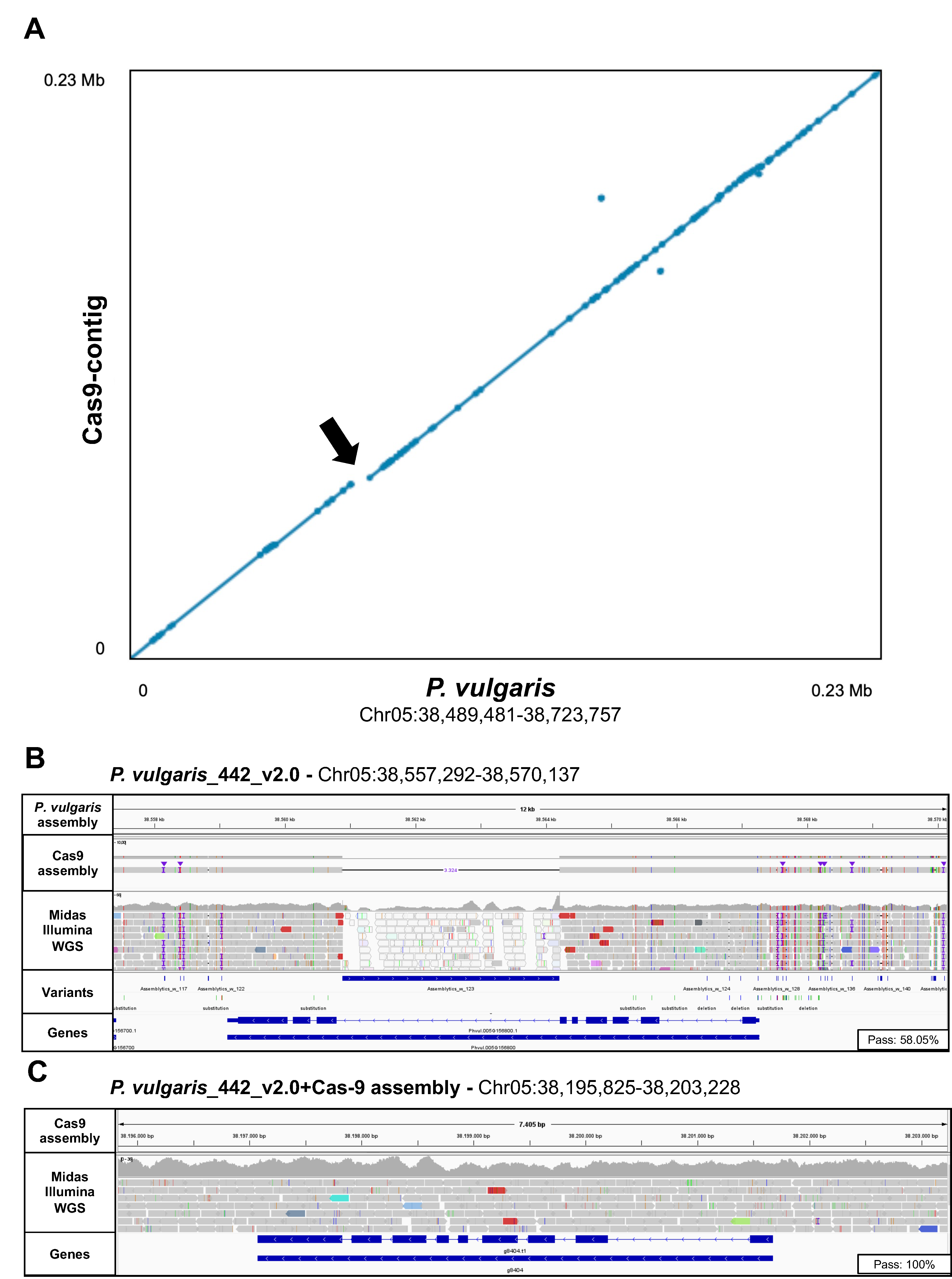 Ijms 24 01076 g003 Ijms 24 01076 g003