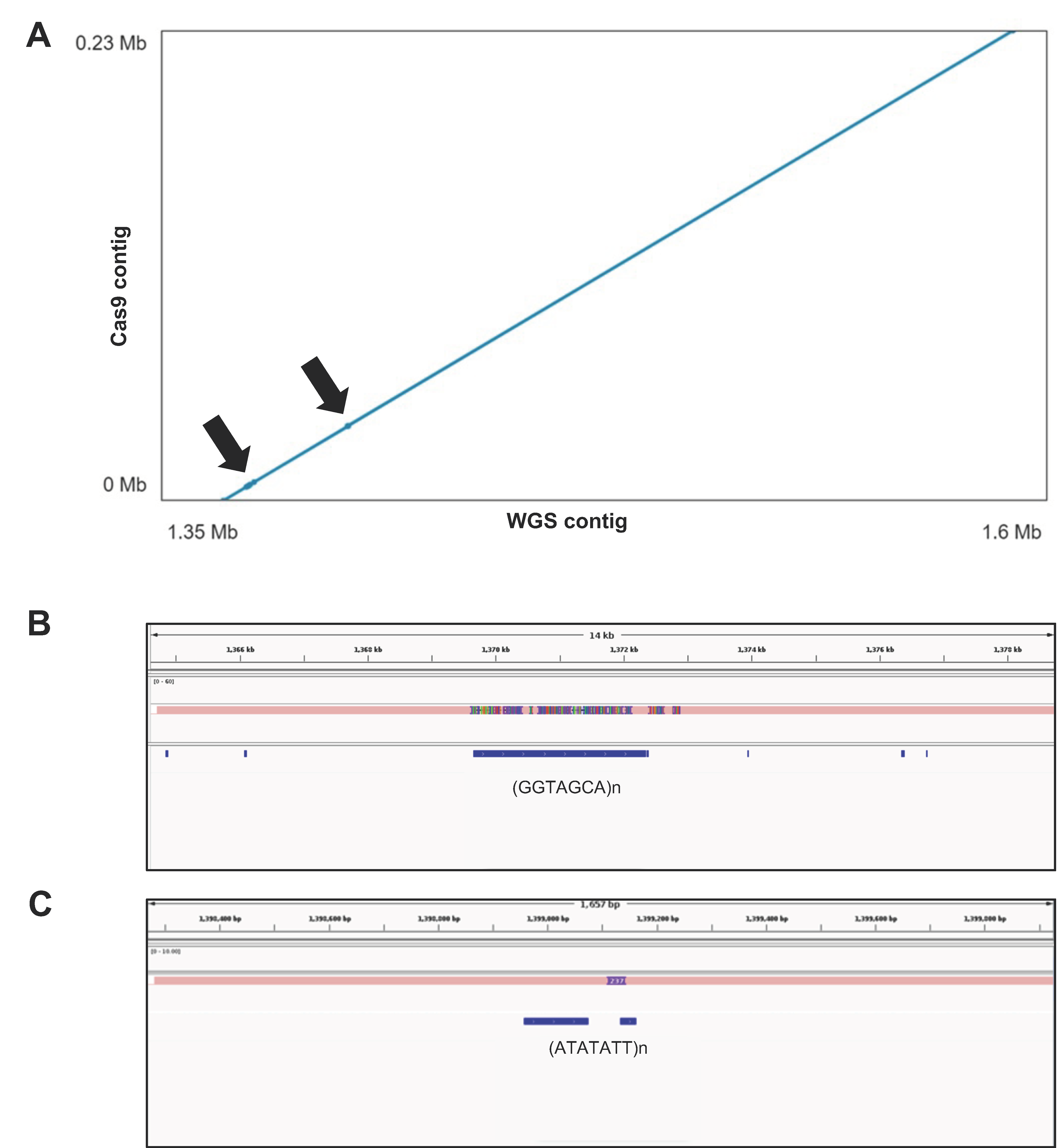 Ijms 24 01076 g005 Ijms 24 01076 g005
