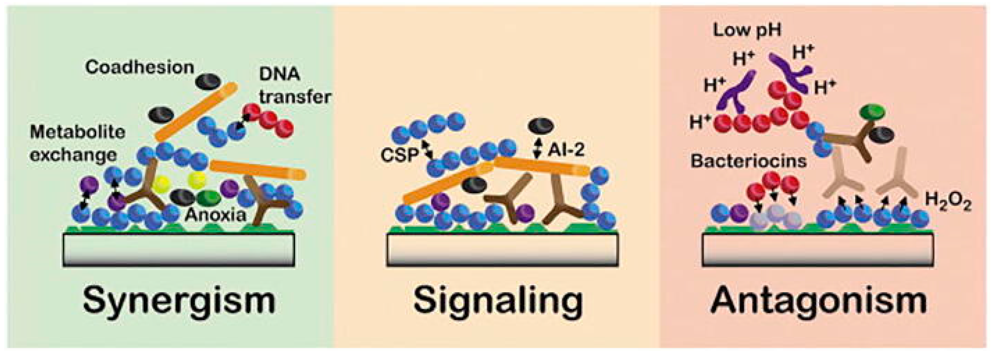 Ijms 24 01084 g001 Ijms 24 01084 g001