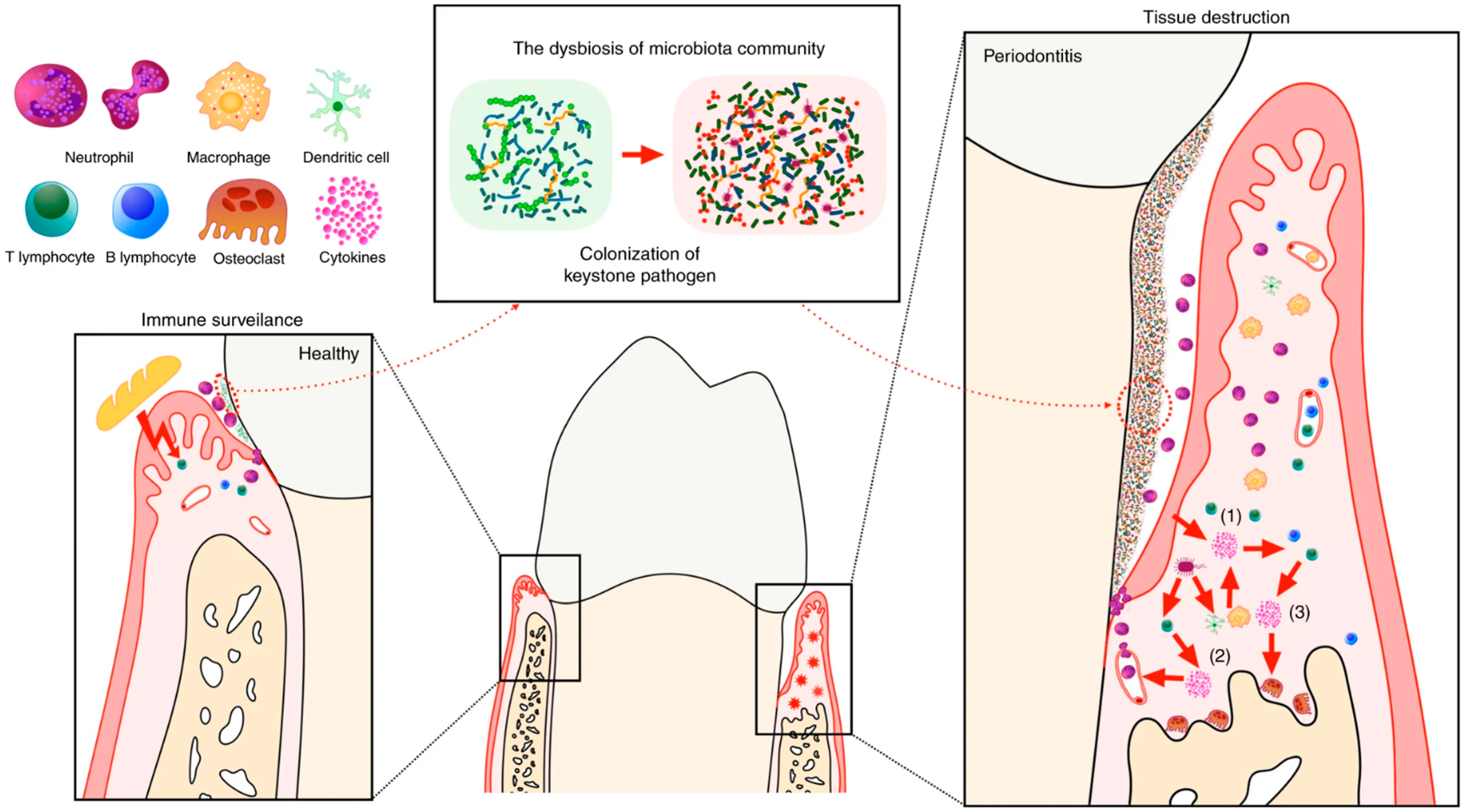 Ijms 24 01084 g002 Ijms 24 01084 g002