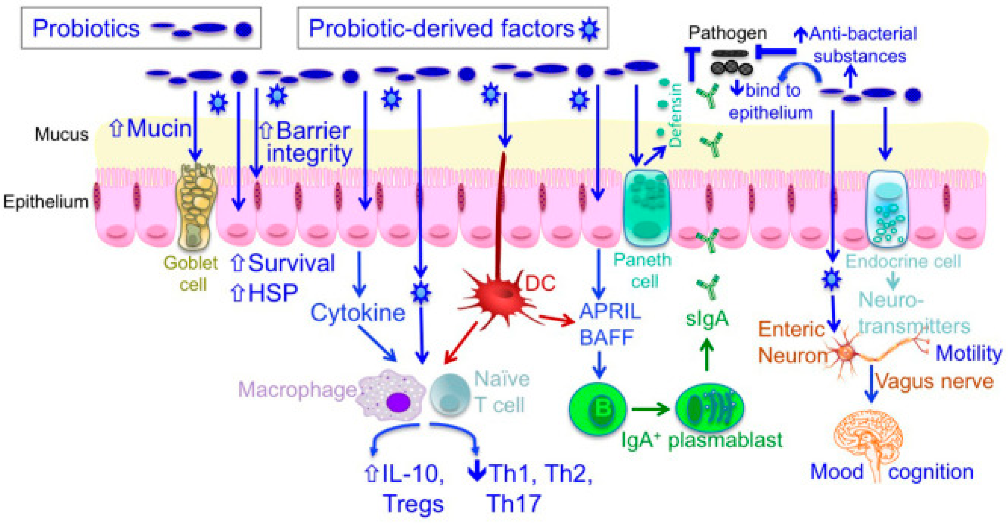 Ijms 24 01084 g003 Ijms 24 01084 g003