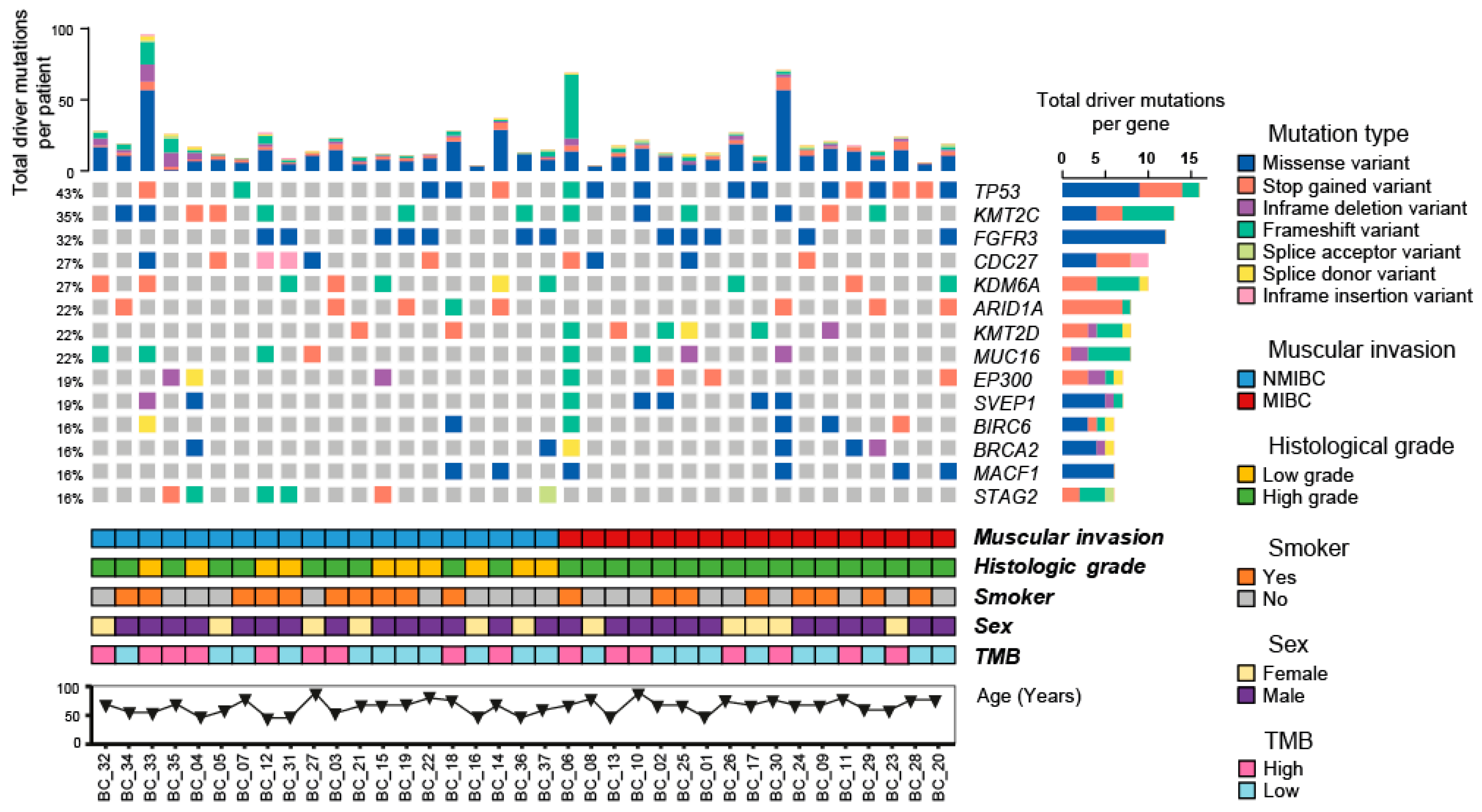 Ijms 24 01092 g003 Ijms 24 01092 g003