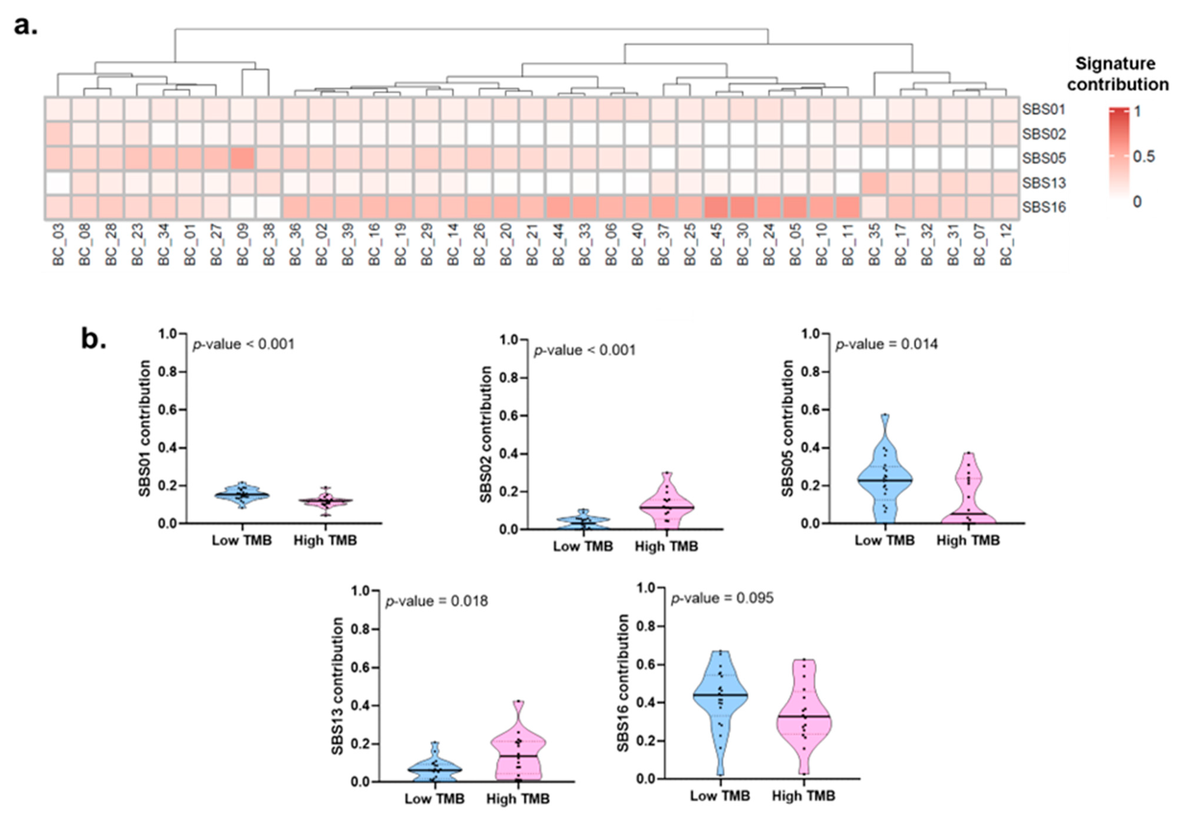 Ijms 24 01092 g007 Ijms 24 01092 g007