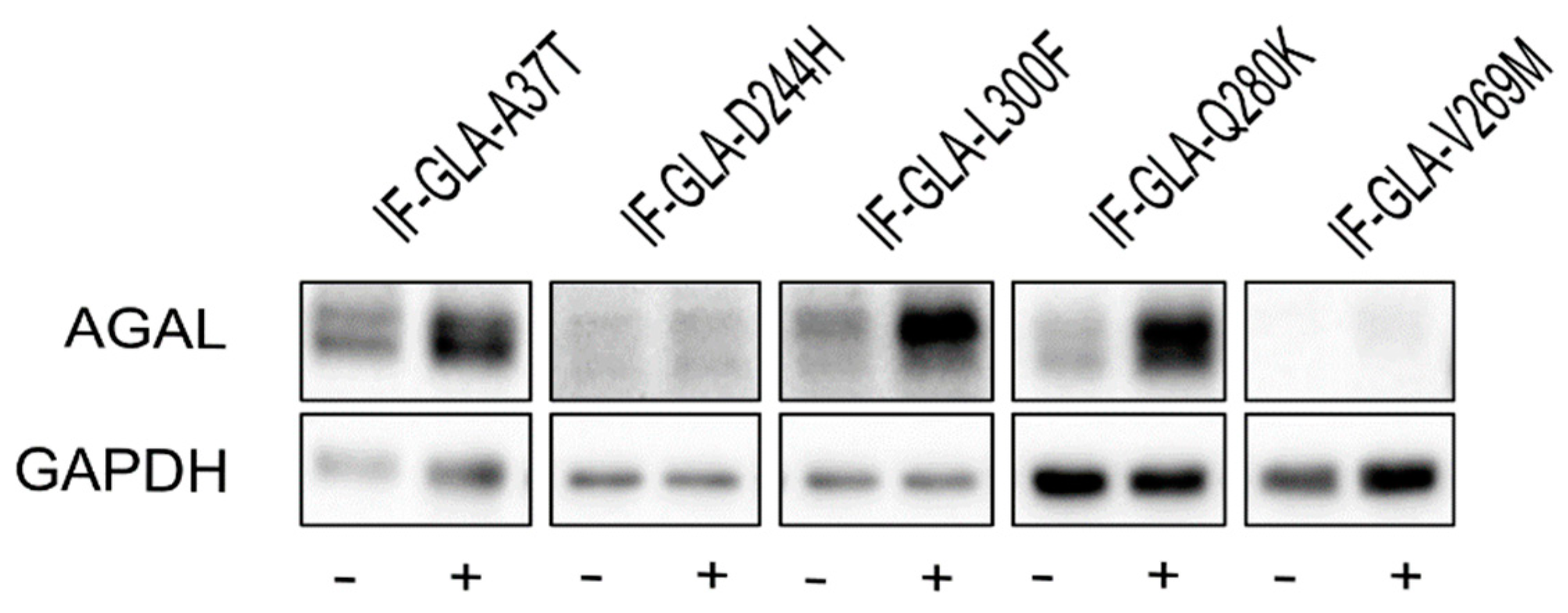 Ijms 24 01095 g002 Ijms 24 01095 g002