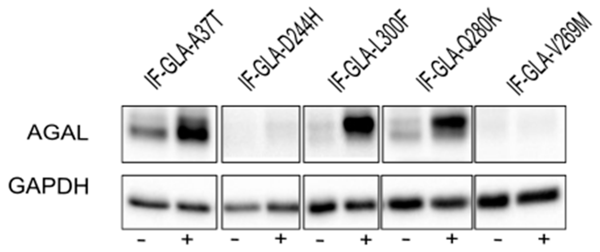 Ijms 24 01095 g006 Ijms 24 01095 g006