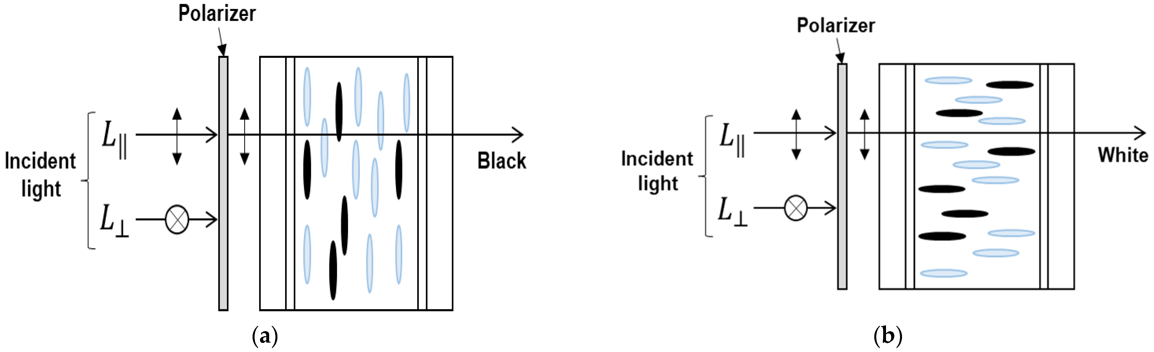 Ijms 24 01097 g002 Ijms 24 01097 g002