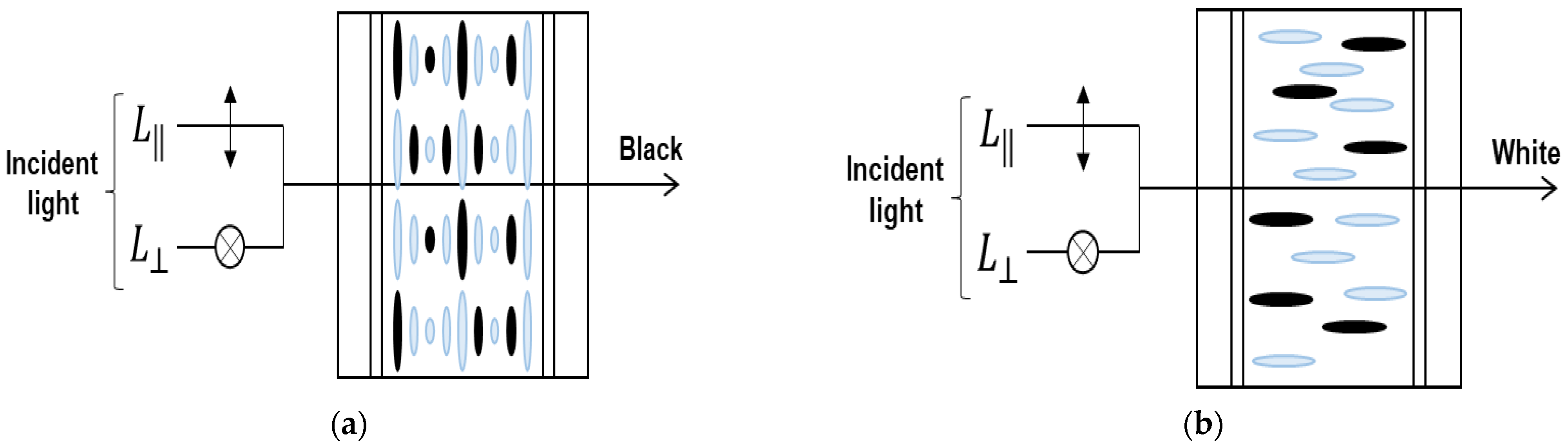 Ijms 24 01097 g003 Ijms 24 01097 g003