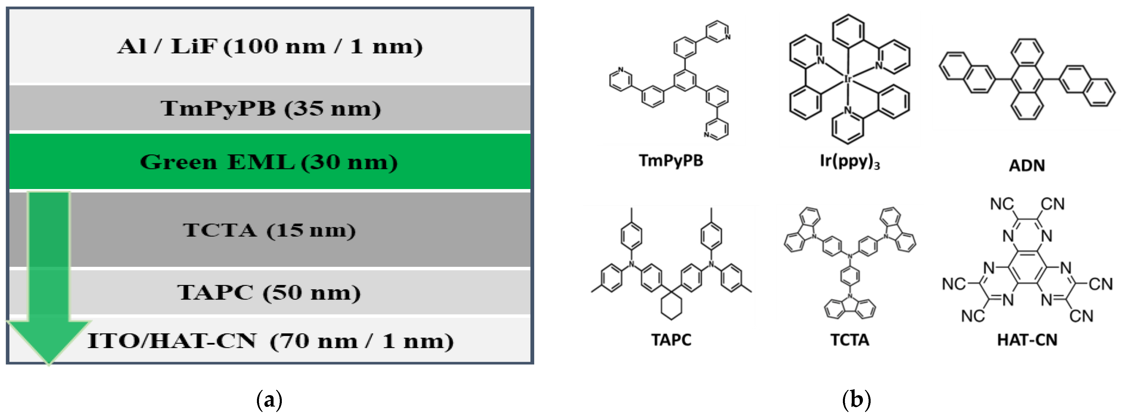Ijms 24 01097 g010 Ijms 24 01097 g010