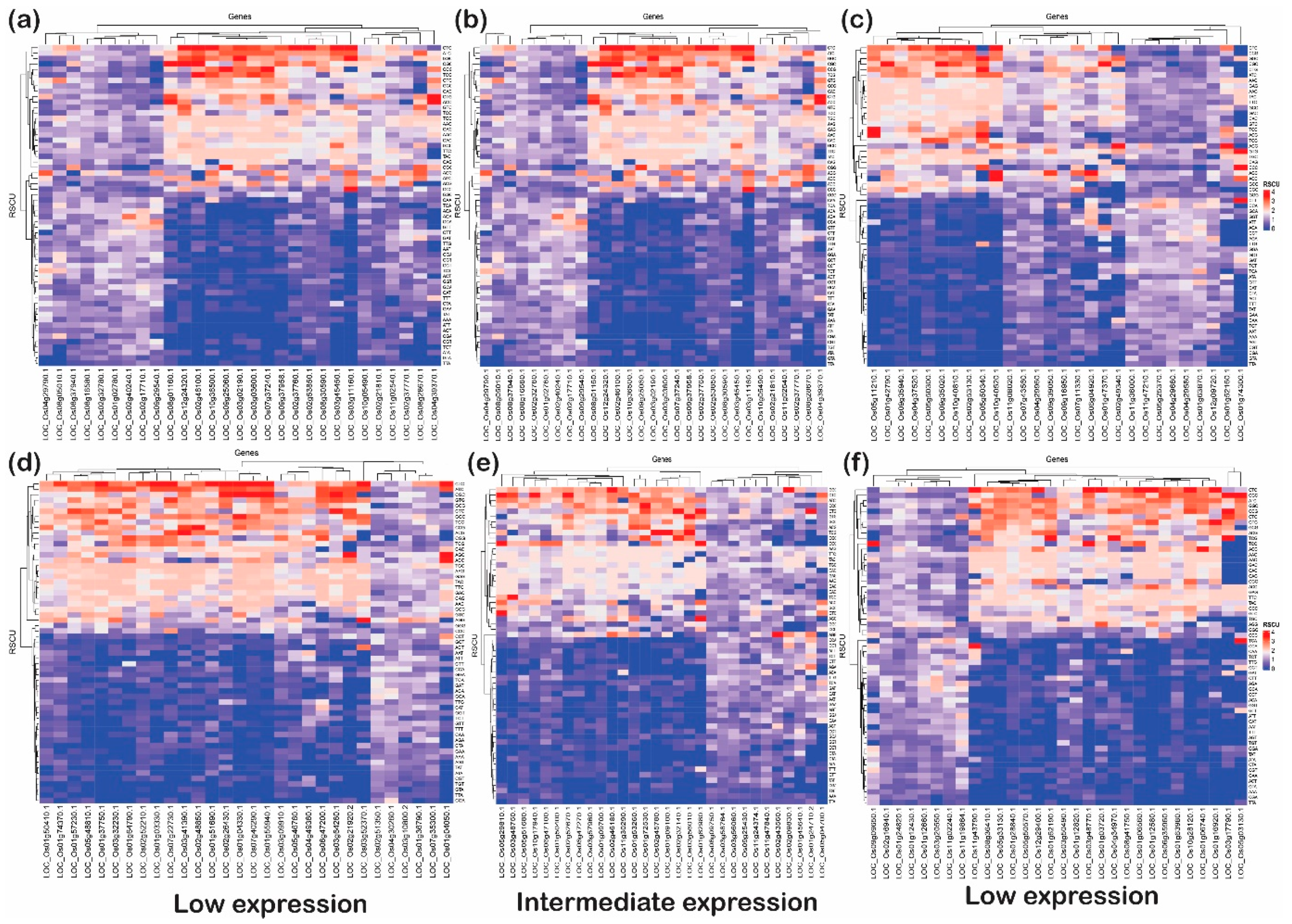 Ijms 24 01098 g008 Ijms 24 01098 g008