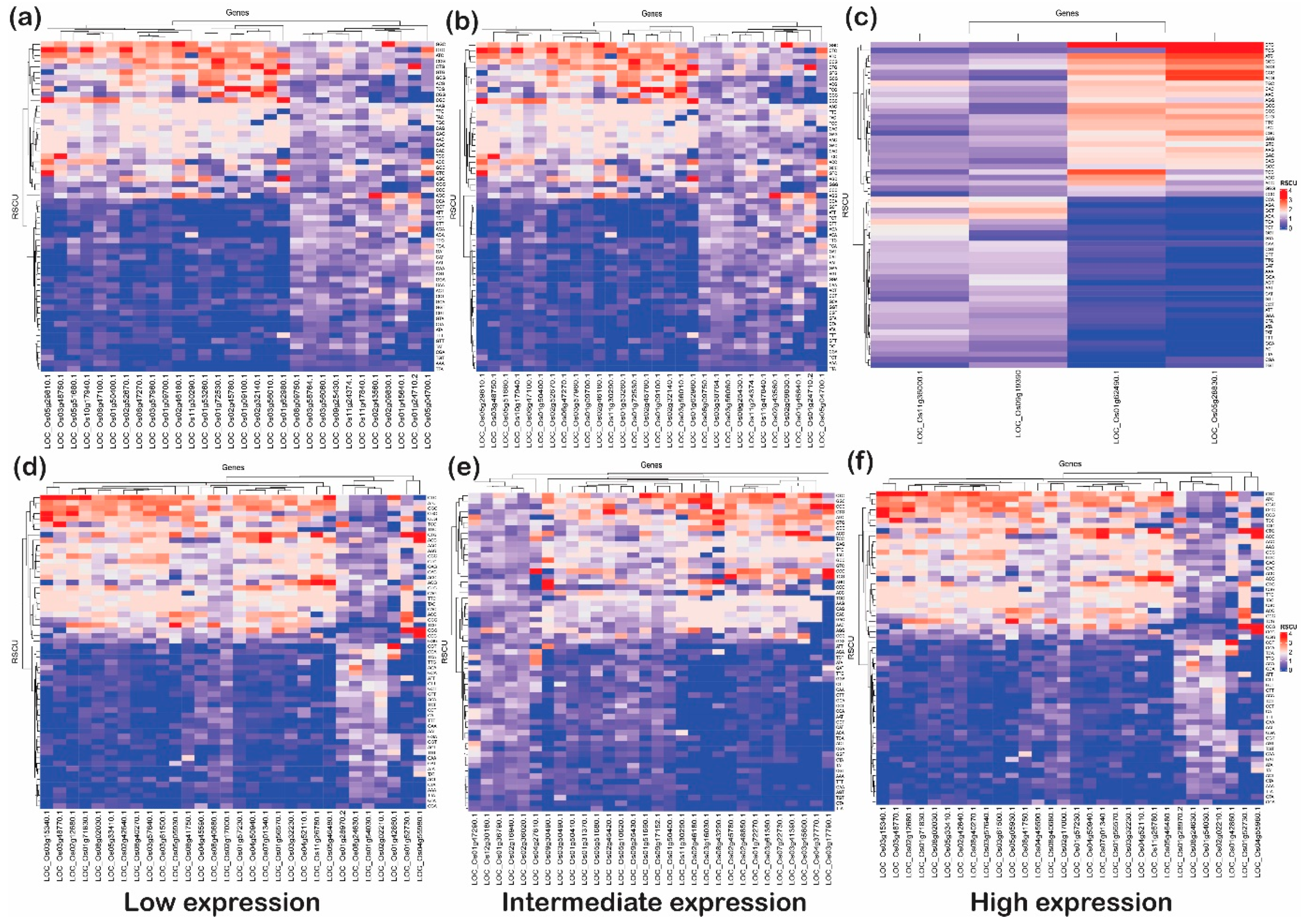 Ijms 24 01098 g009 Ijms 24 01098 g009