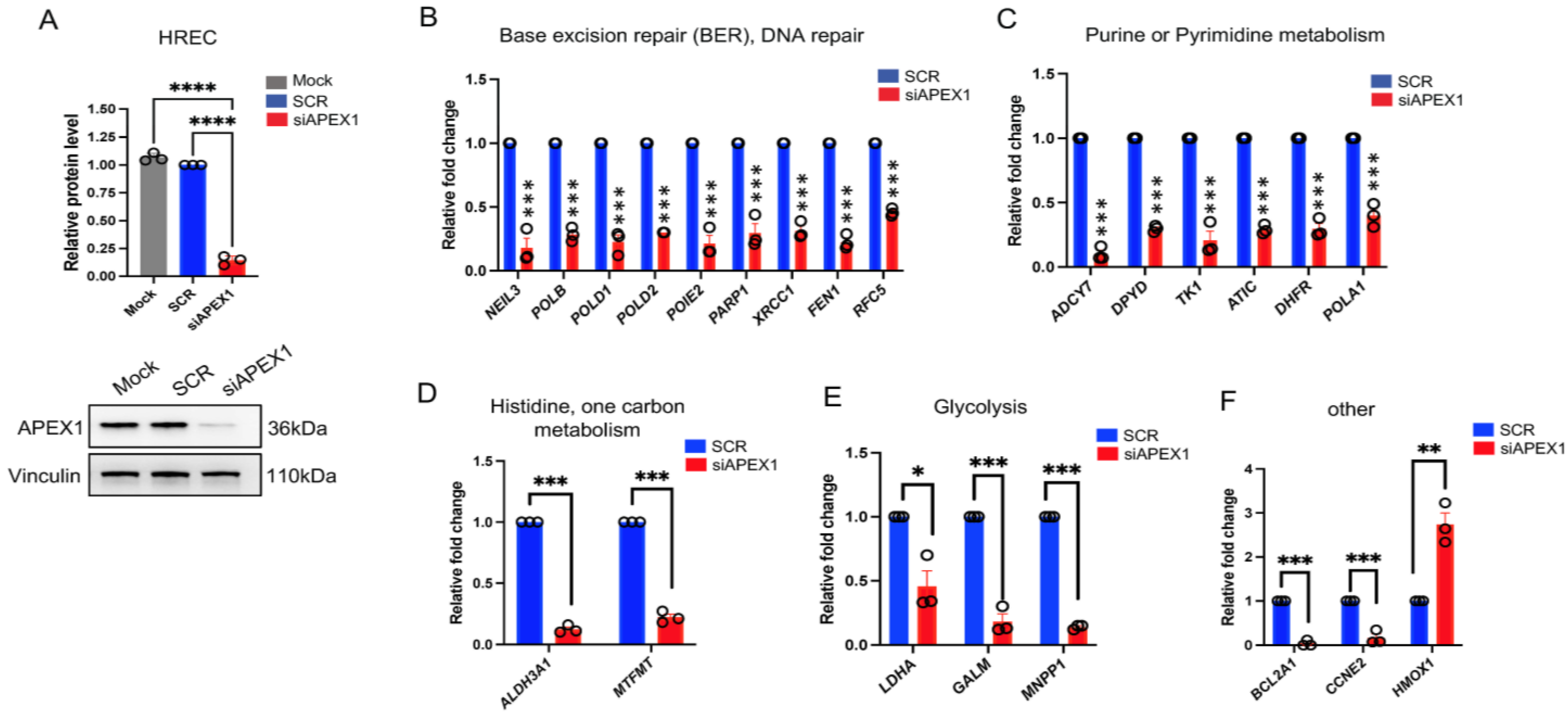 Ijms 24 01101 g003 Ijms 24 01101 g003