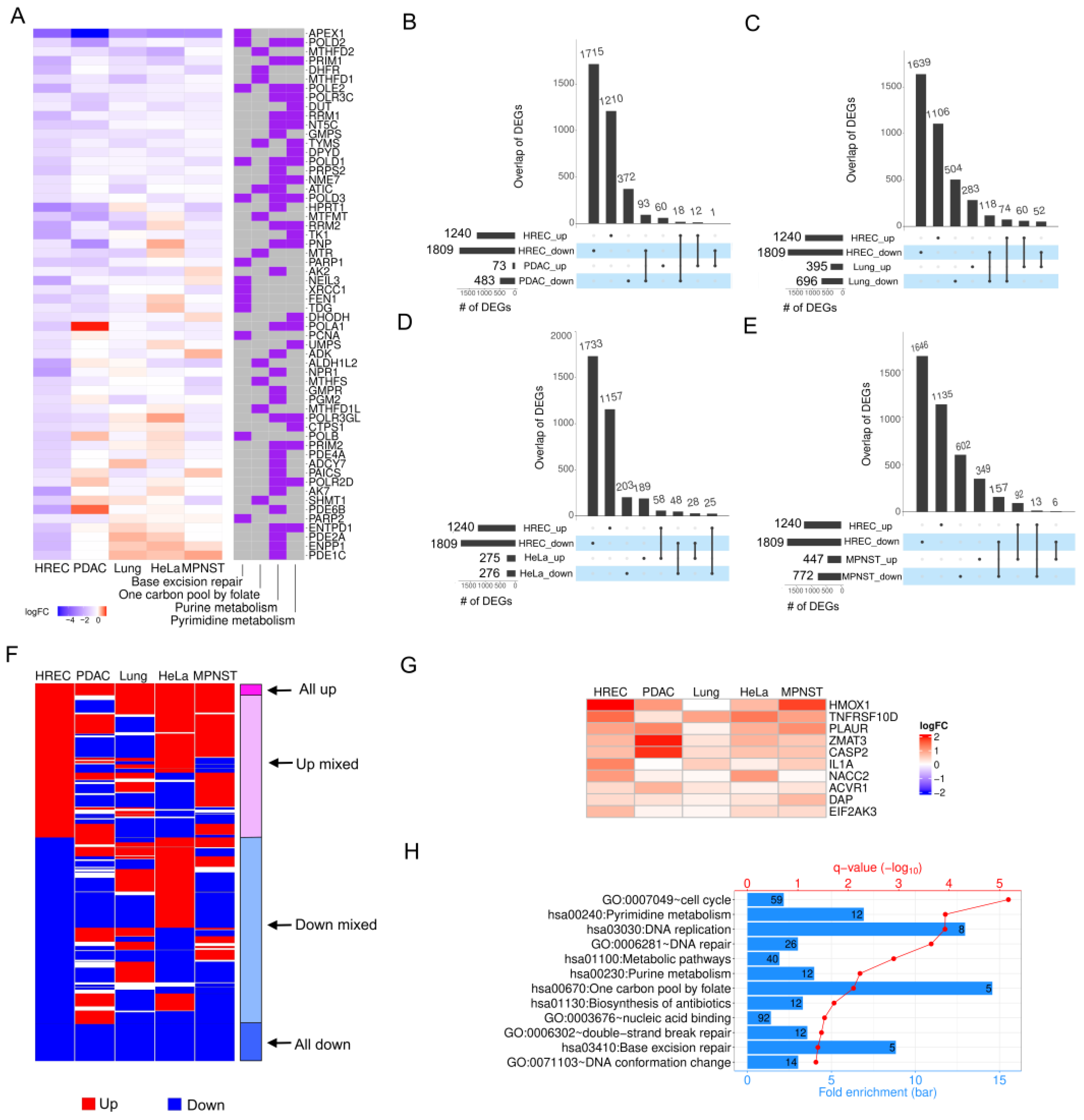 Ijms 24 01101 g004 Ijms 24 01101 g004