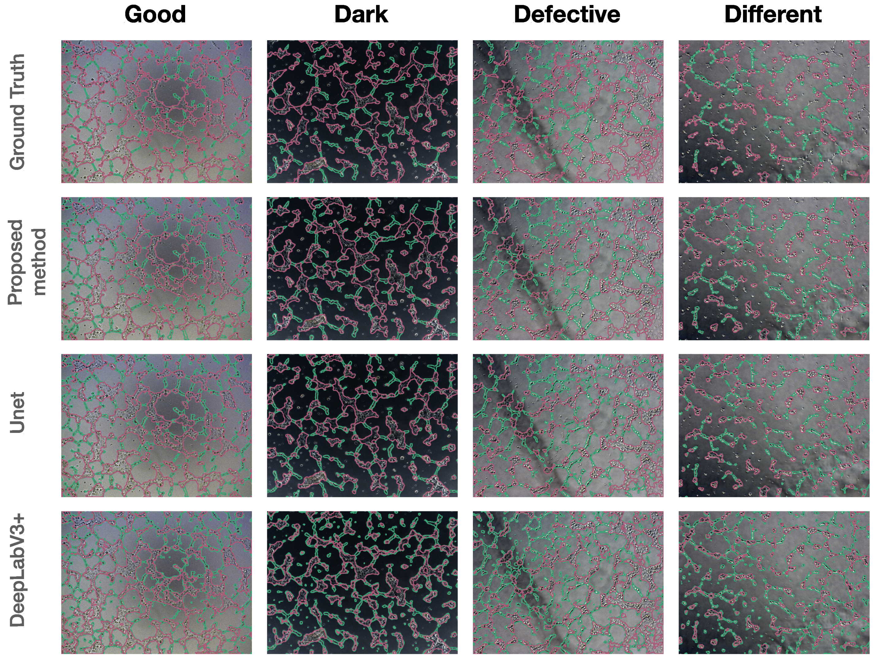 Ijms 24 01102 g005 Ijms 24 01102 g005