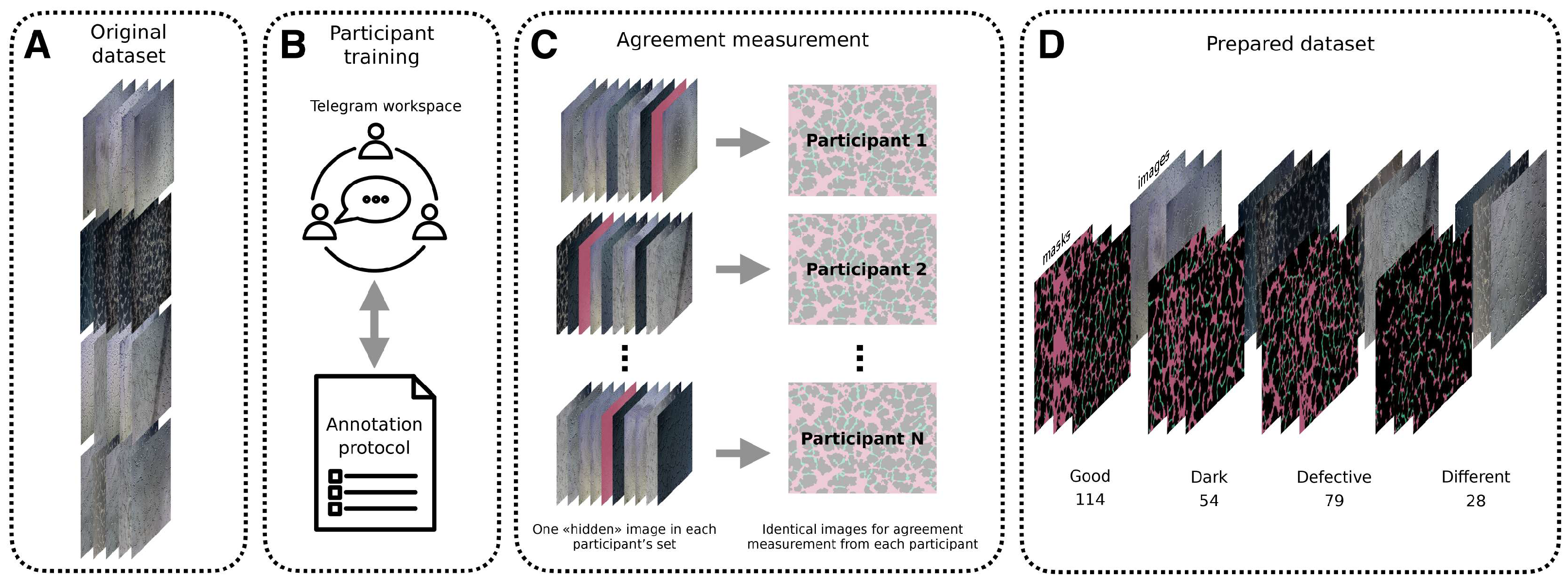 Ijms 24 01102 g007 Ijms 24 01102 g007
