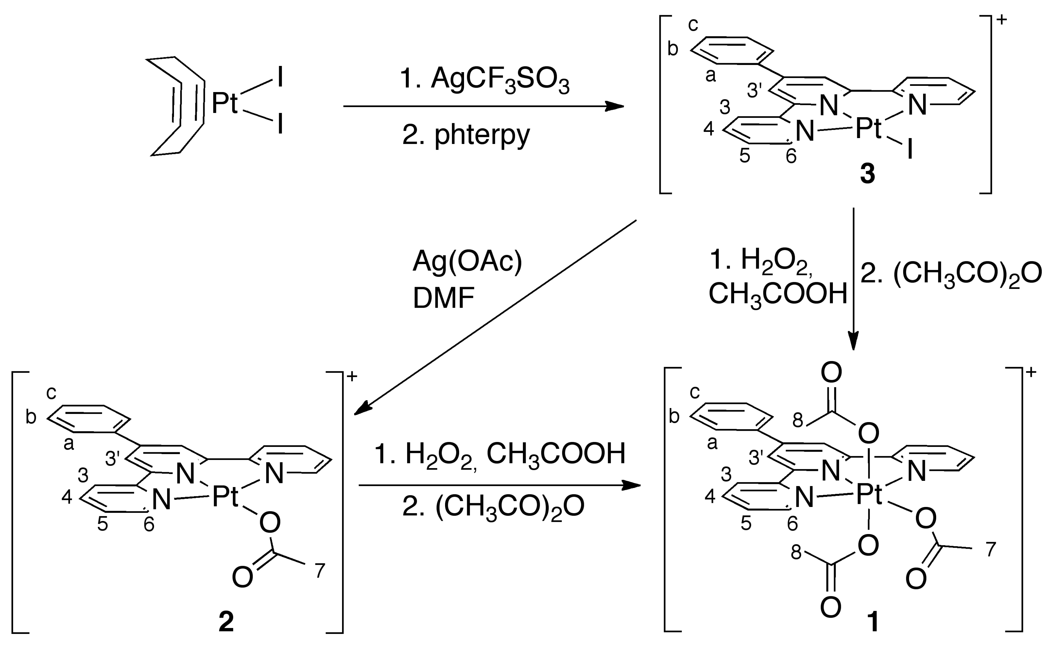 Ijms 24 01106 sch001 Ijms 24 01106 sch001