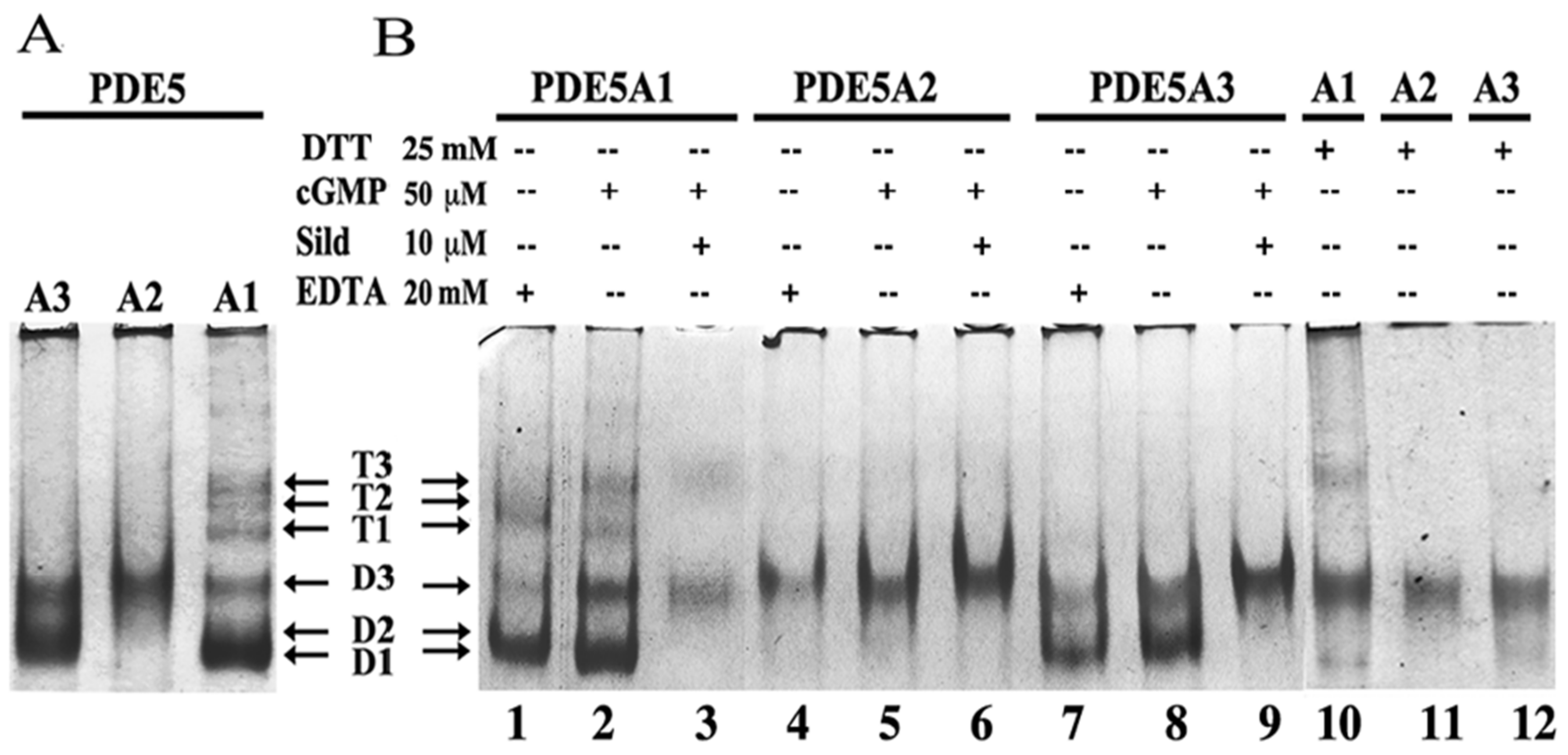 Ijms 24 01108 g001 Ijms 24 01108 g001
