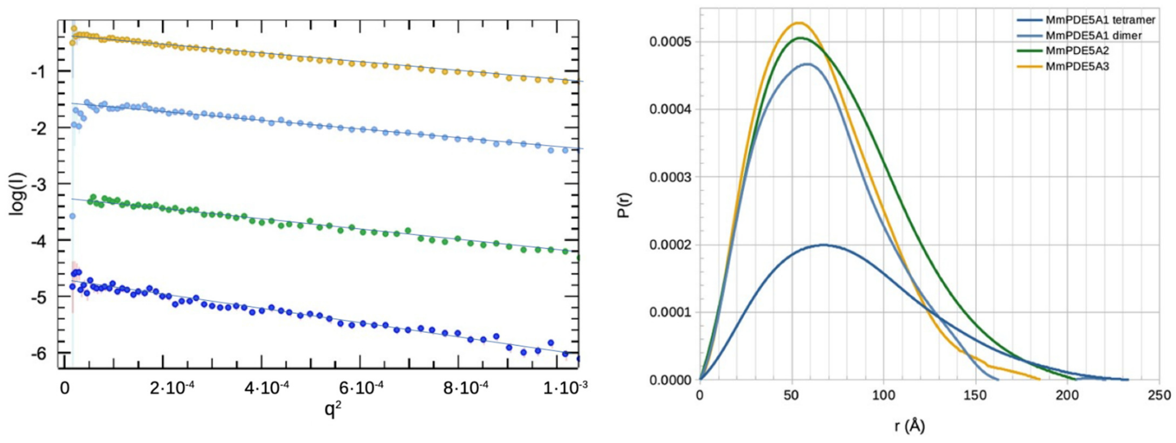 Ijms 24 01108 g002 Ijms 24 01108 g002