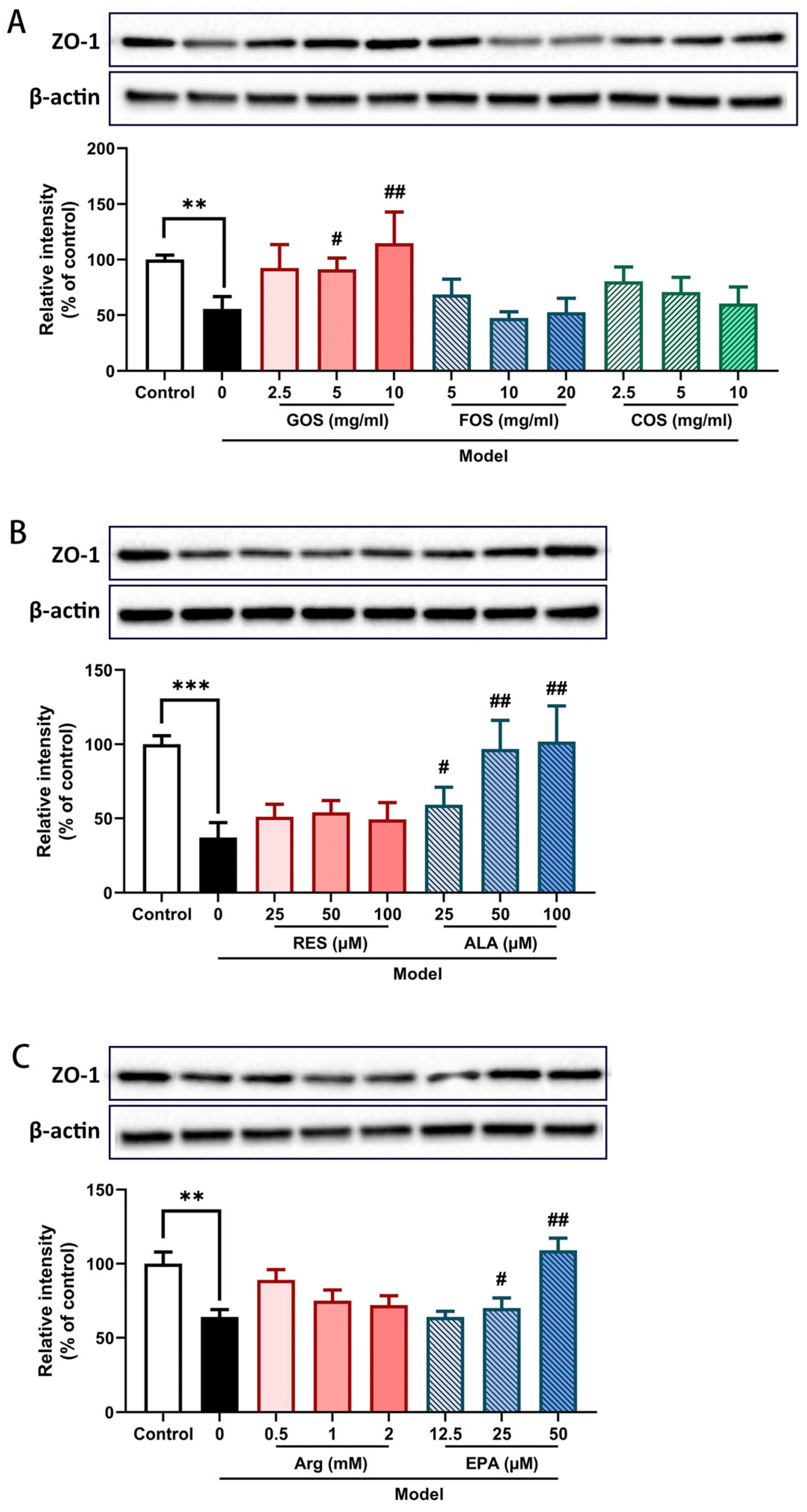Ijms 24 01111 g004 Ijms 24 01111 g004